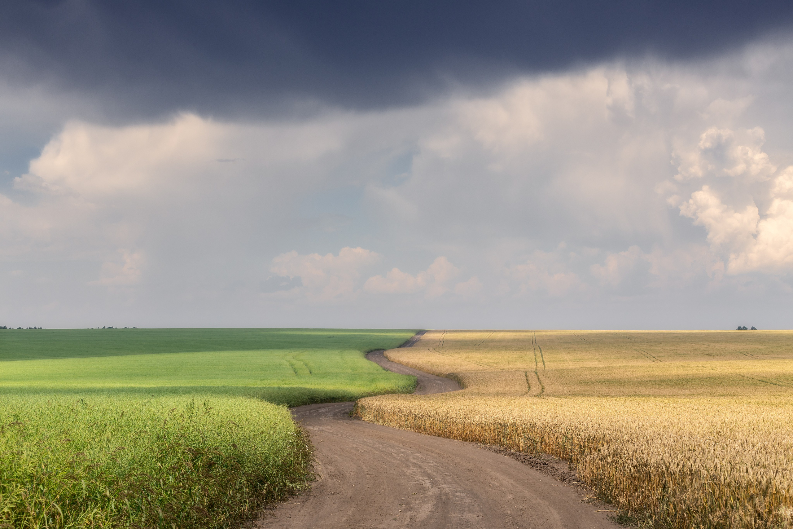 Природа (Лето). Фотограф Мартыненко Дмитрий