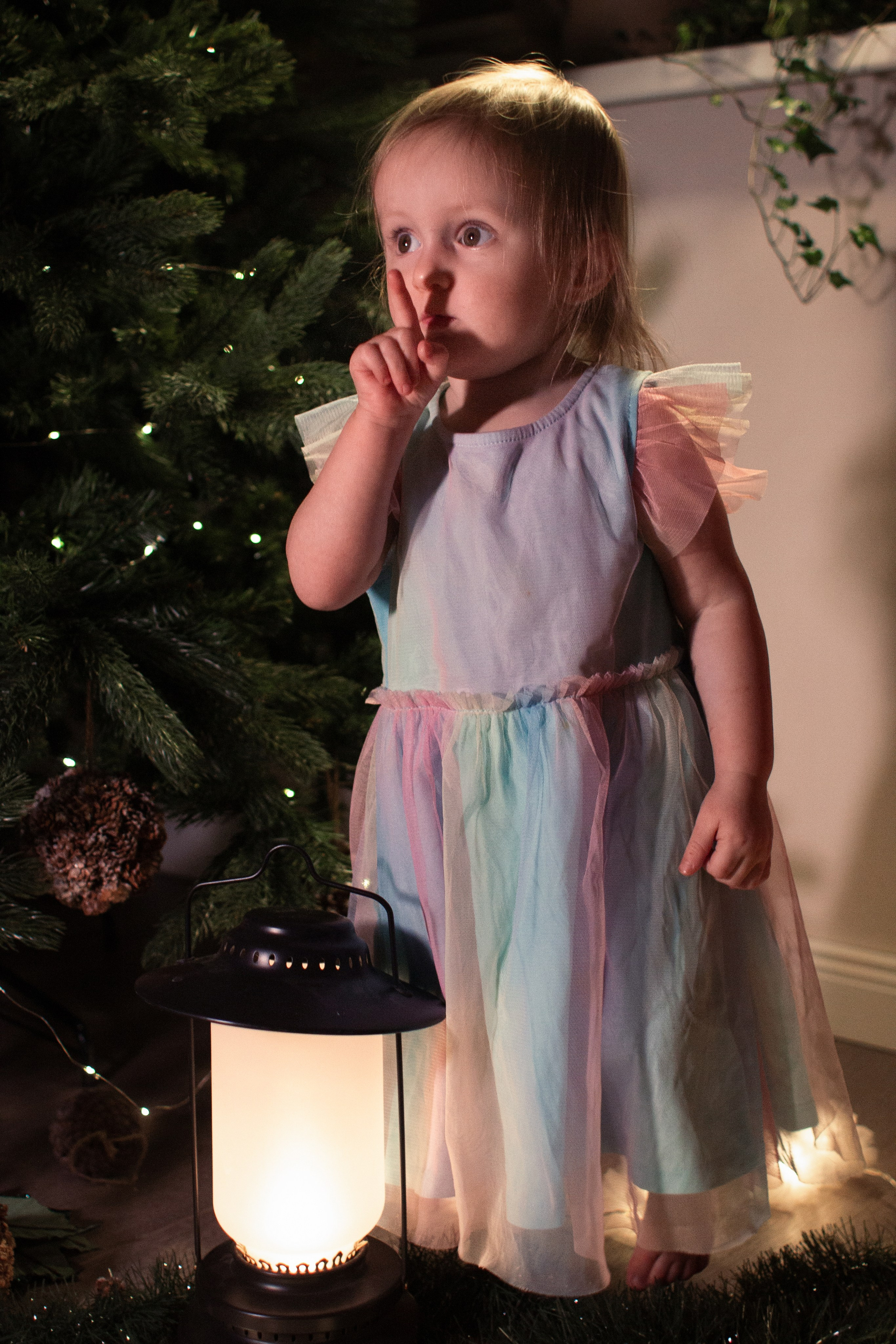 Новый год. Фотограф Дарья Улюсова