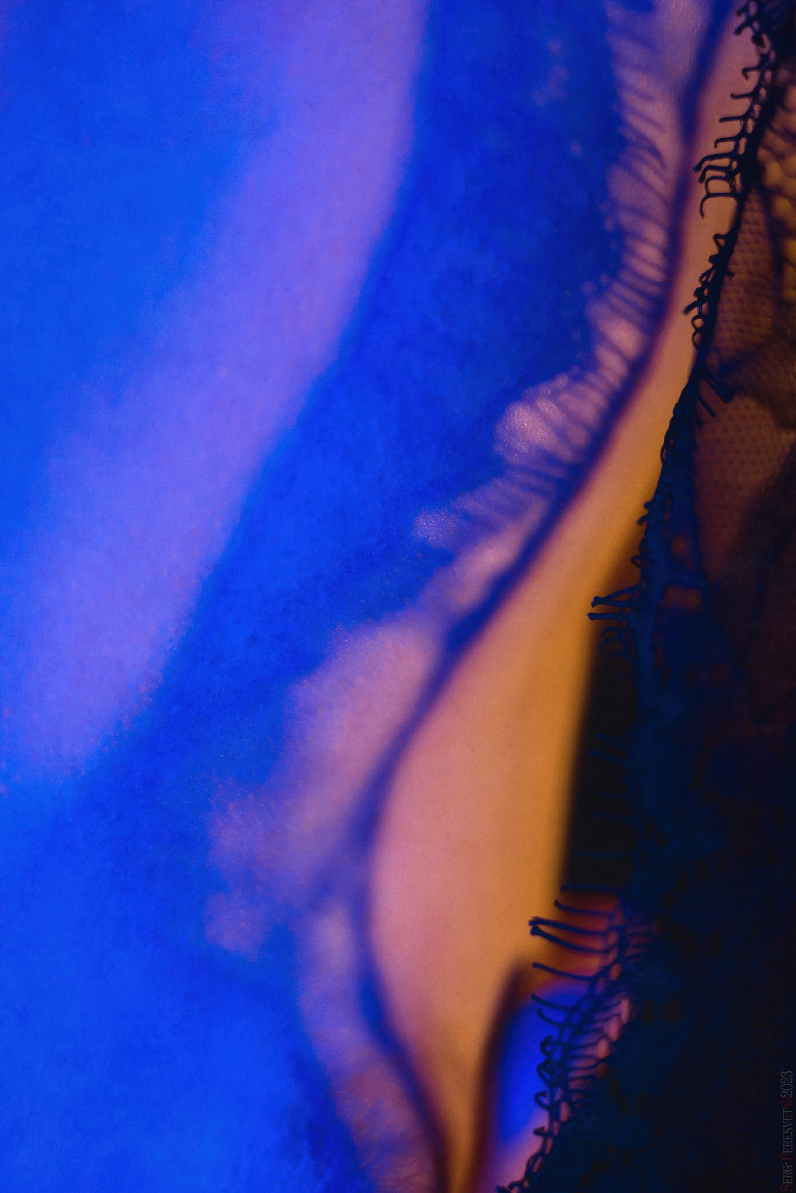 Будуар. Ваш фотограф на праздник в Москве, Раменском, Жуковском, Люберцах