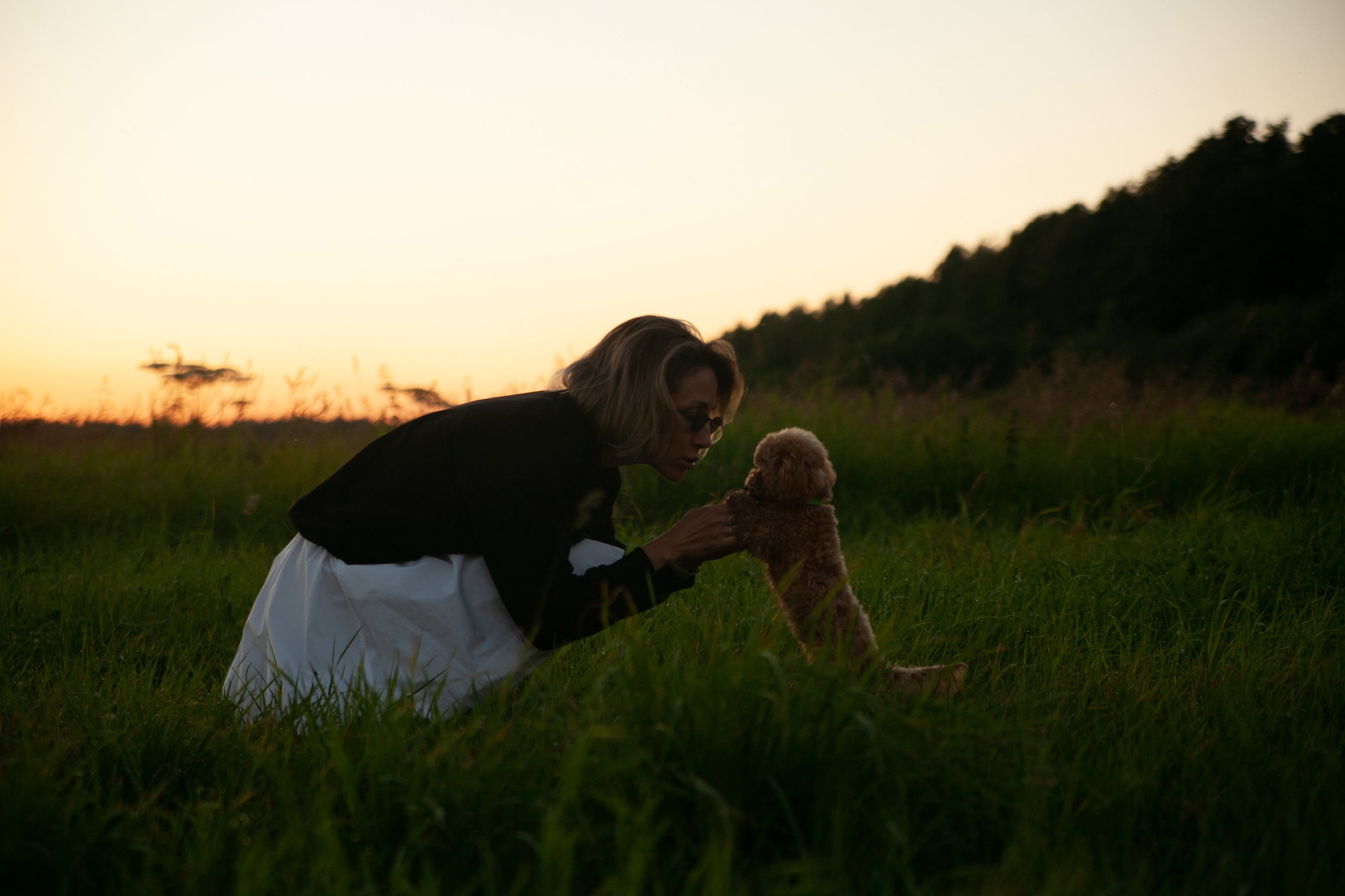 Девушка, закат, собака. Семейный фотограф, свадебный фотограф, женский портрет в Санкт-Петербу