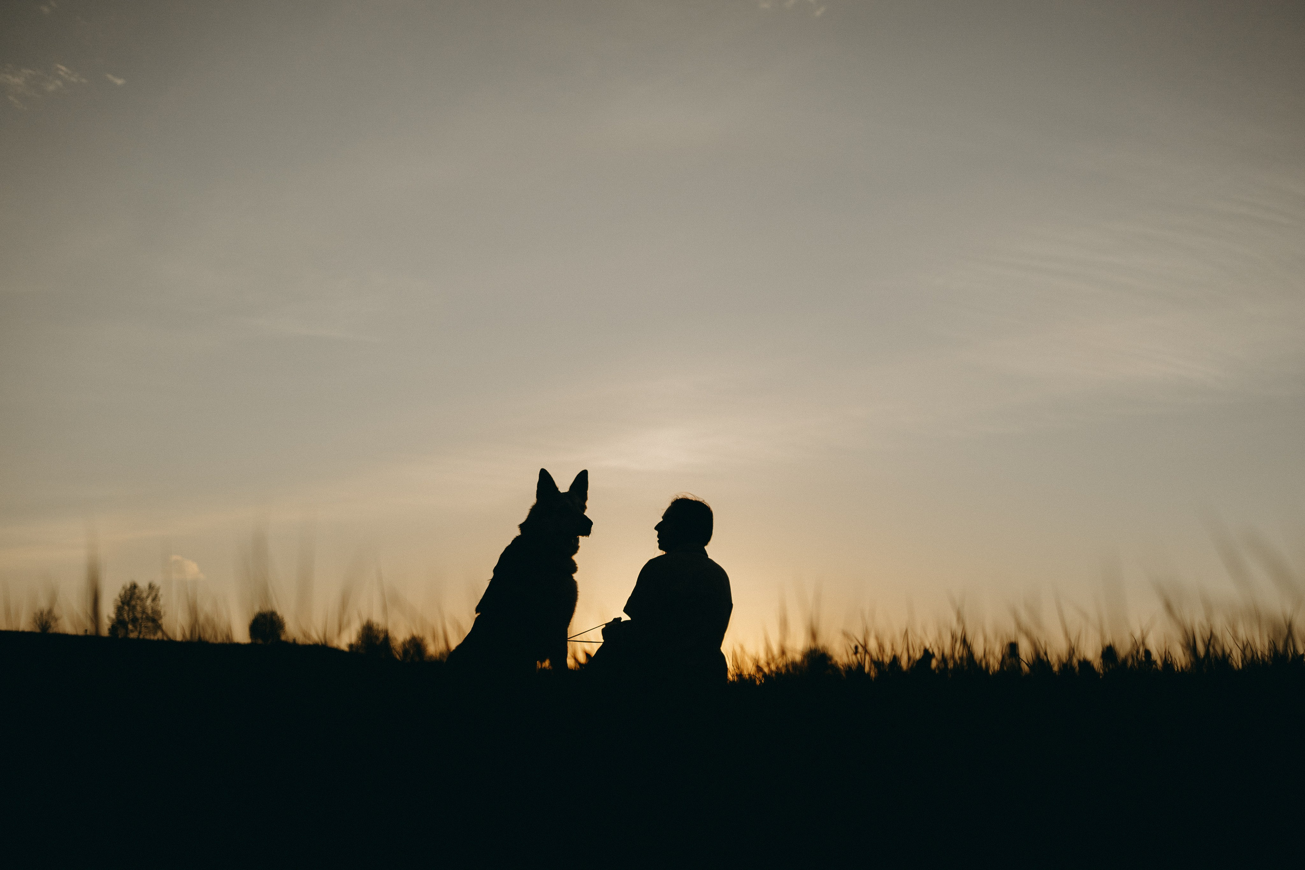 Саша и Зельда. Фотограф — Анималист | Санкт-Петербург