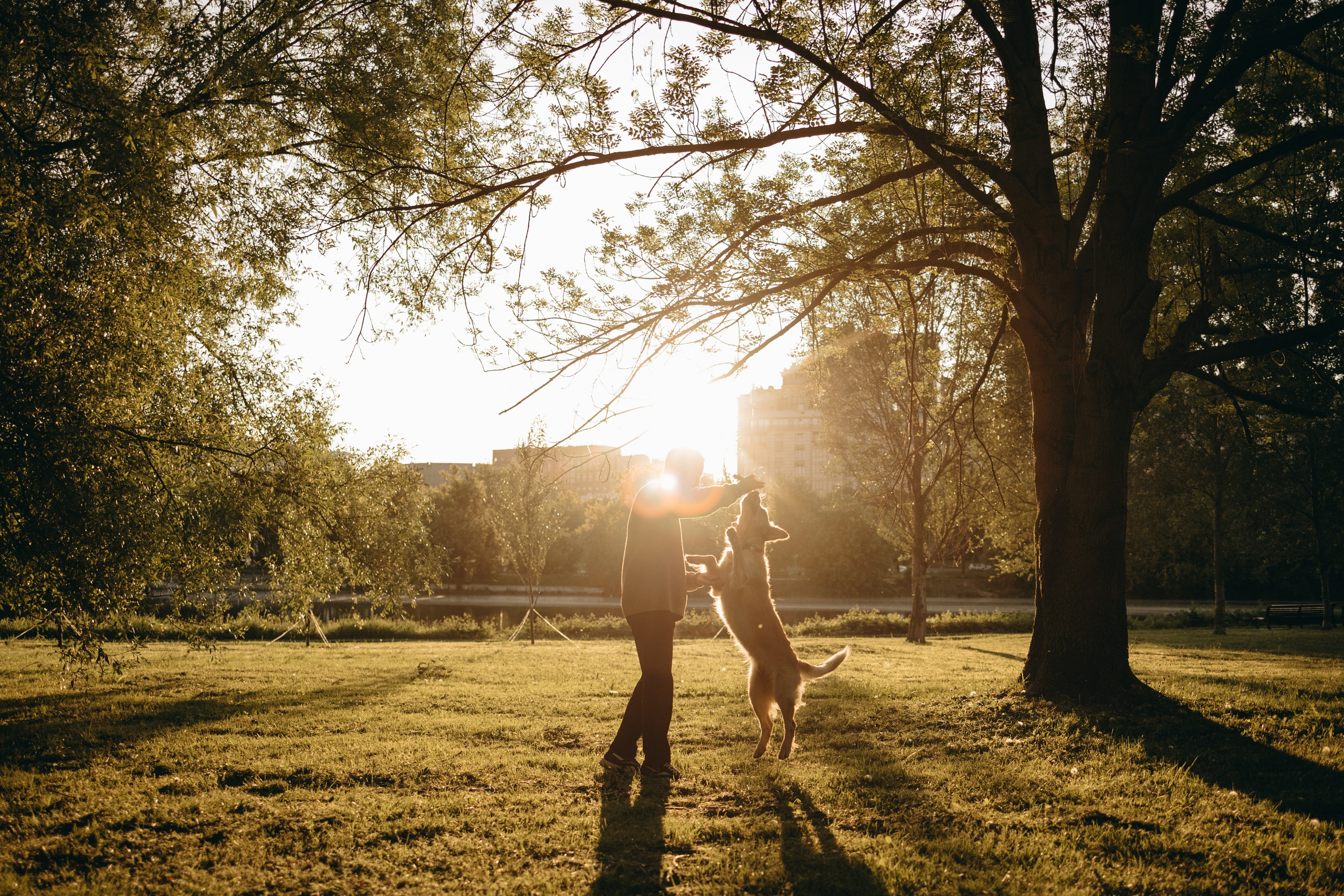 Пенни и ребята. Фотограф — Анималист | Санкт-Петербург