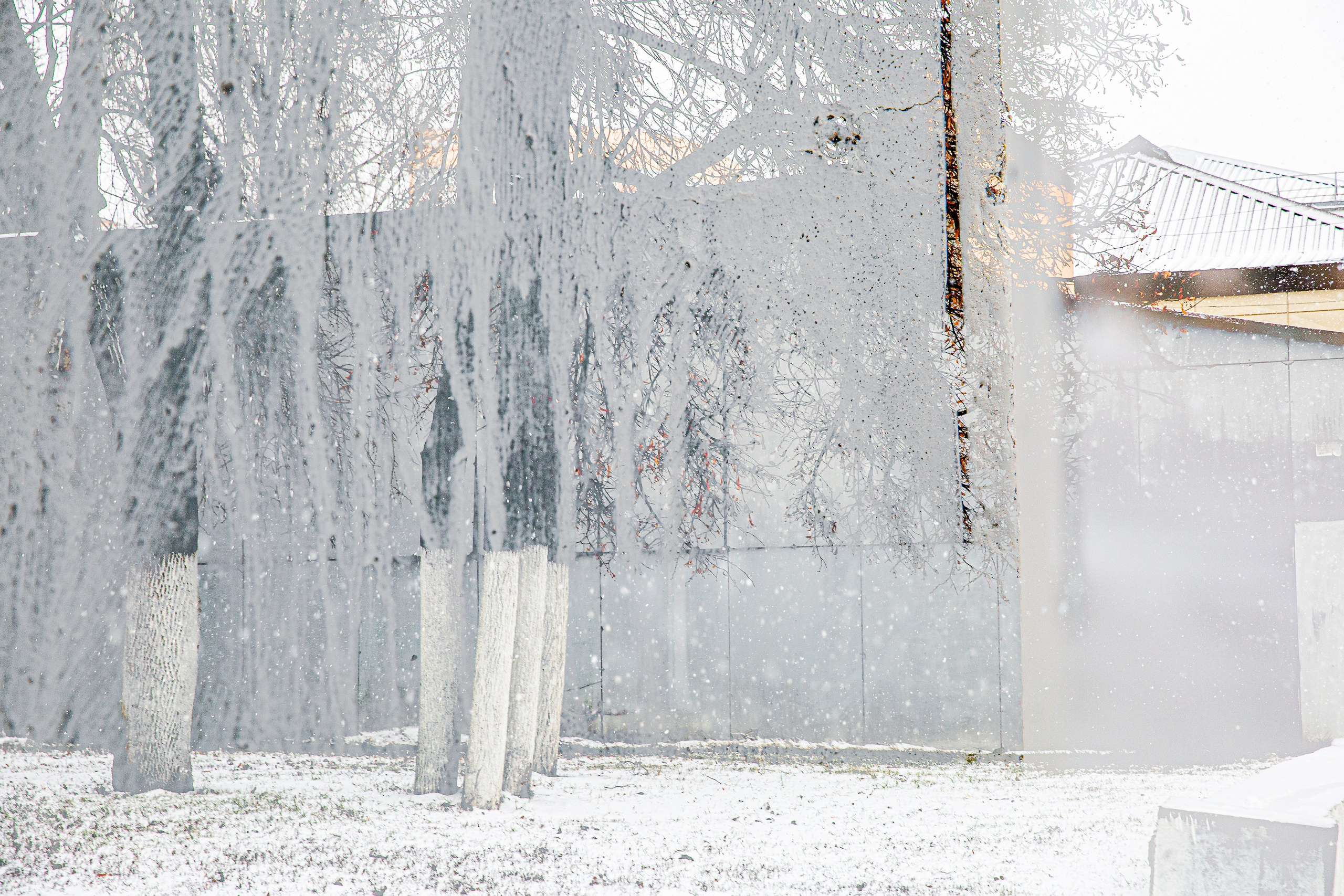 СТРОФА 2 — ЦВЕТОВЕДЕНИЕ. Photographer Anna Arzamastseva