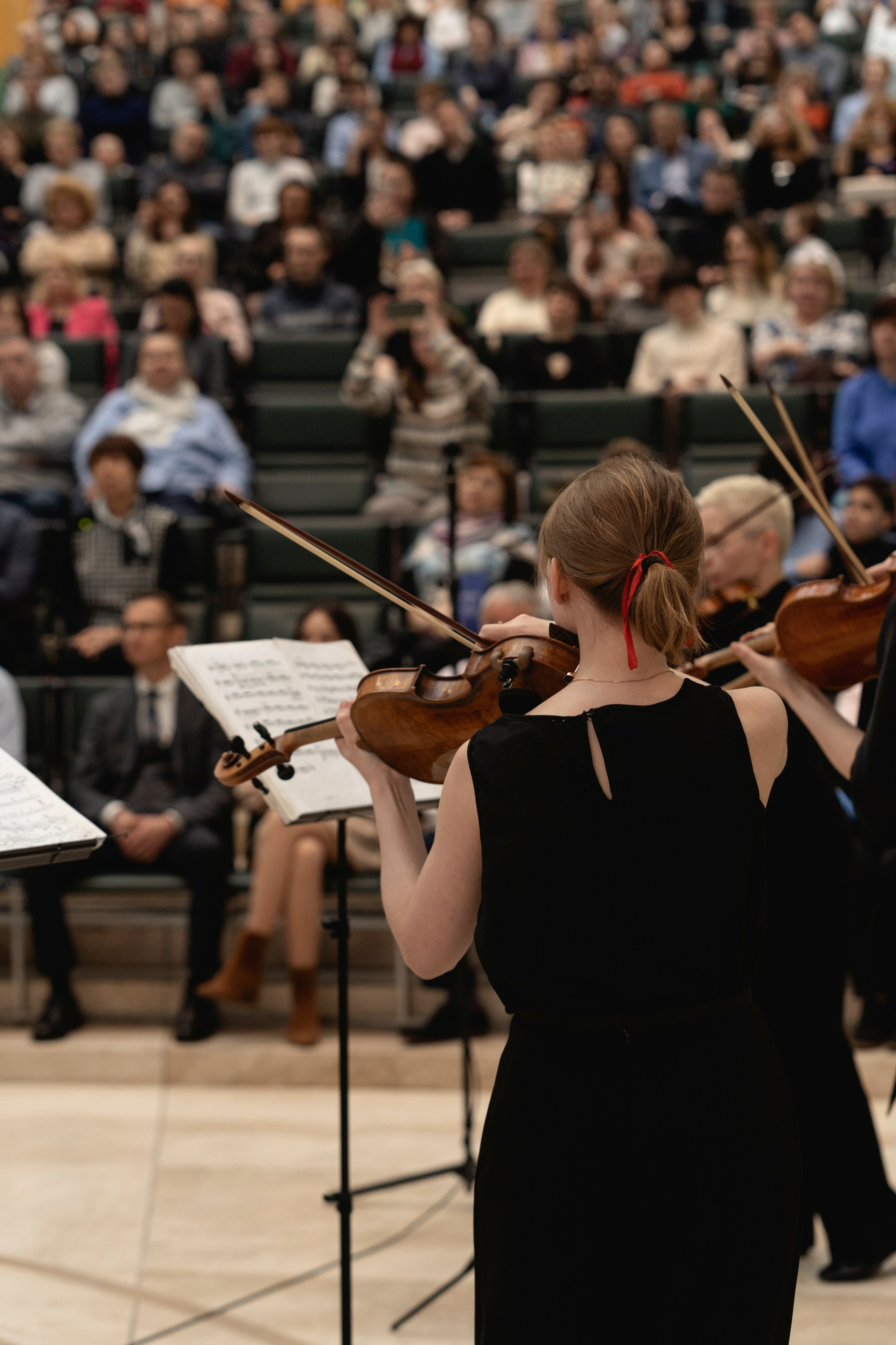 The State Hermitage Museum. Divertissement Chamber Orchestra. Фотограф Ирина Соколенко Санкт-Петербург