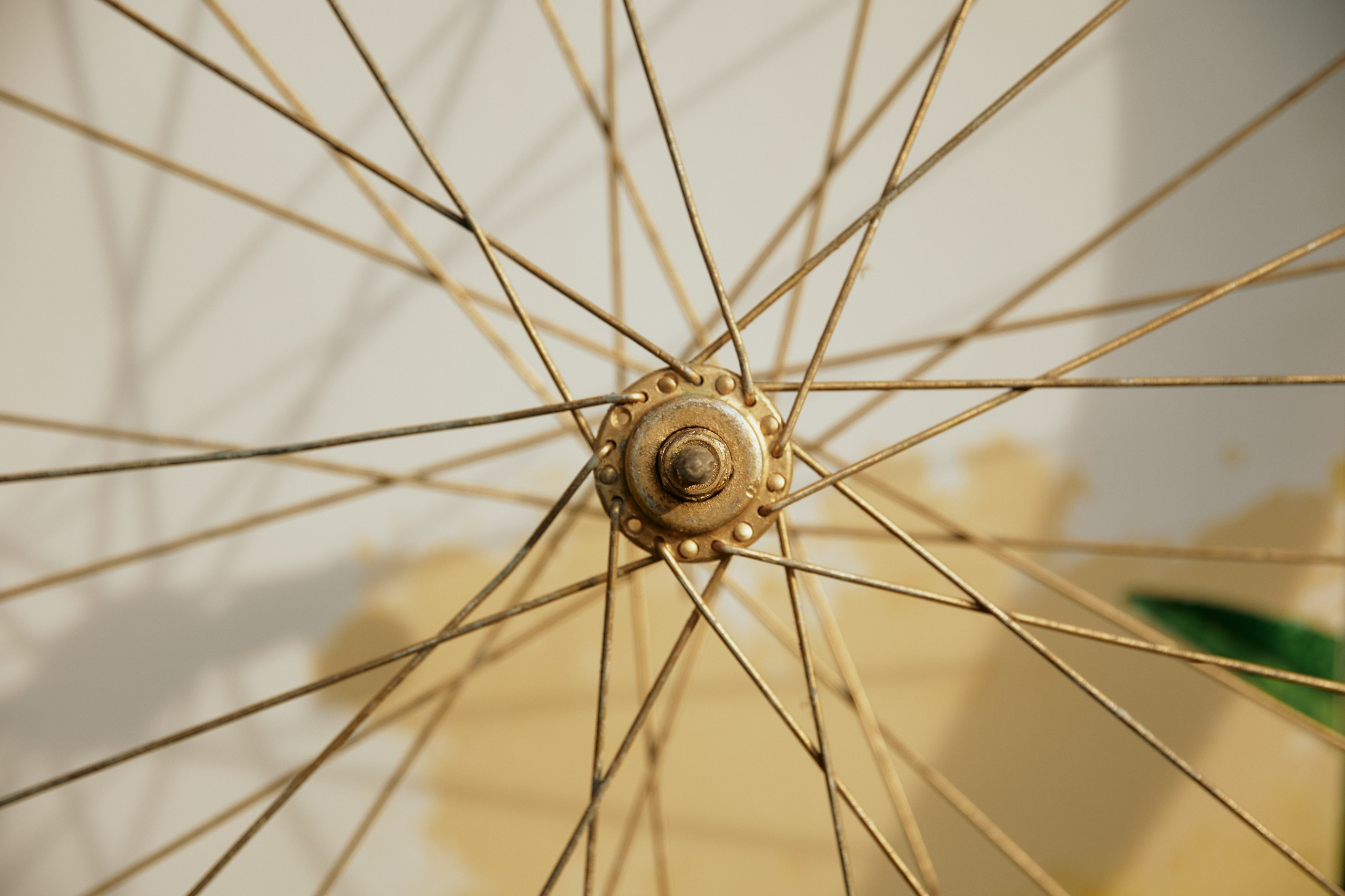 BG. Дмитрий Мазуркевич: Профессиональный Репортажный Фотограф