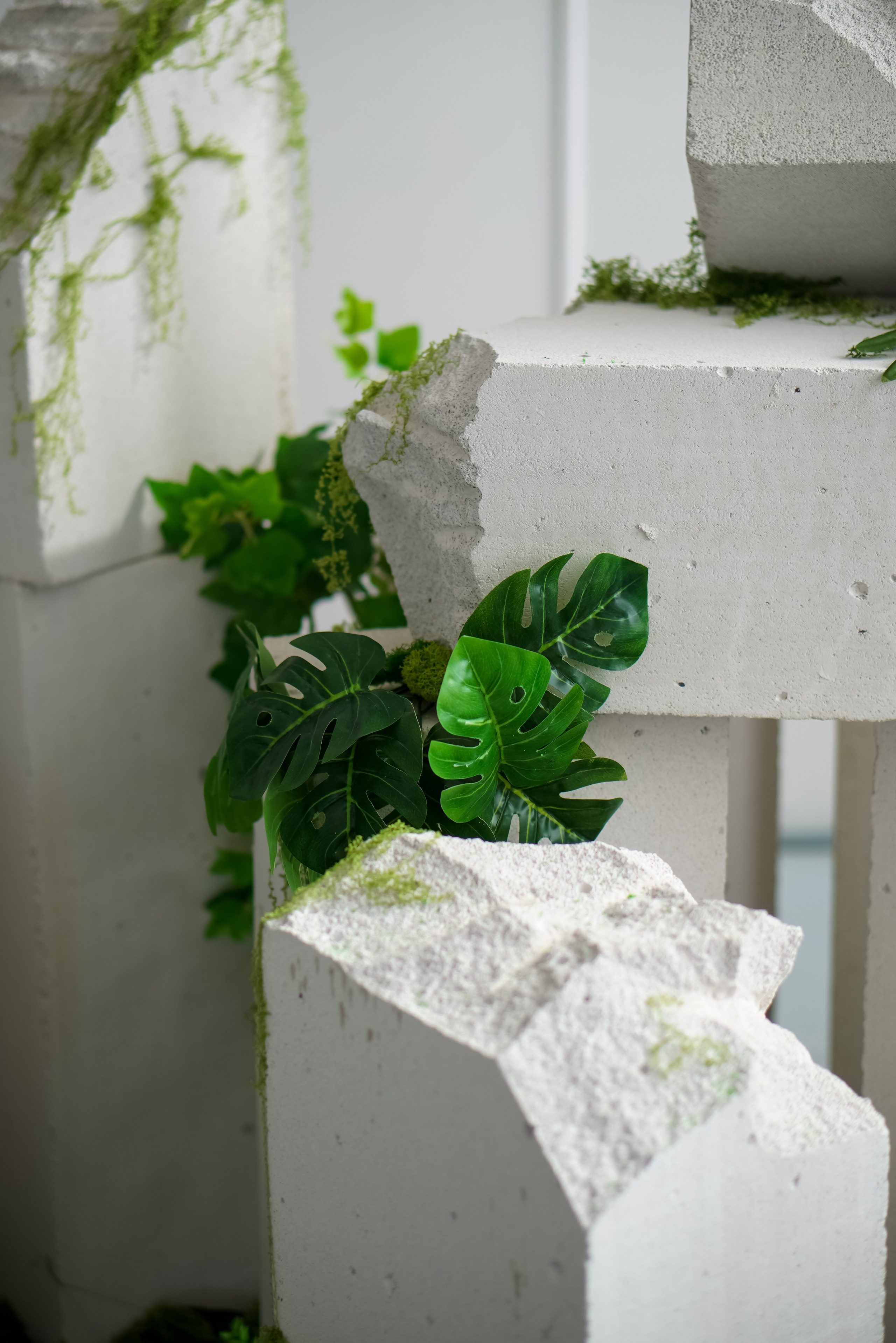 Зал Life фотостудия Импульс. Фотостудия в Саратове. Фотограф в Саратове