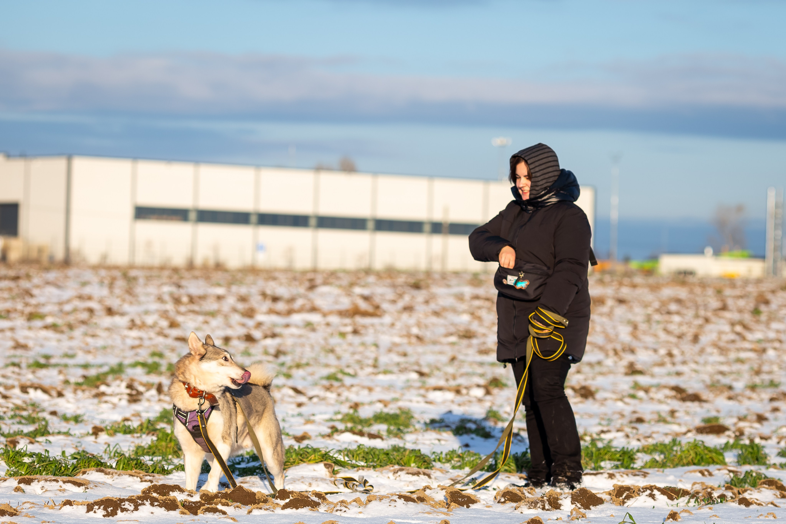 Petshop Забота. Фотограф в Санкт-Петербурге Чумаков Семен