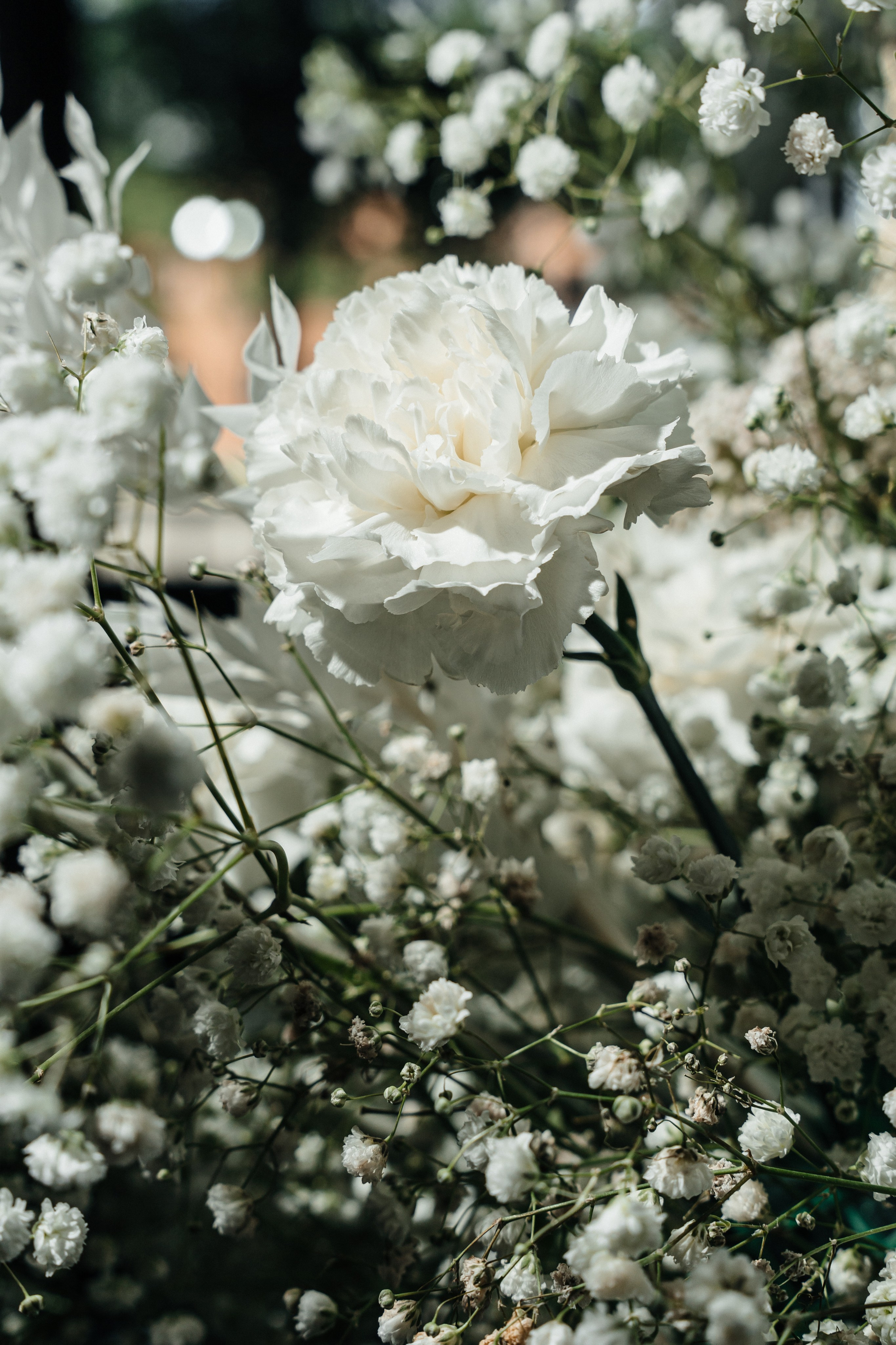 Сергей и Полина. Фотограф Кирилл Бабий