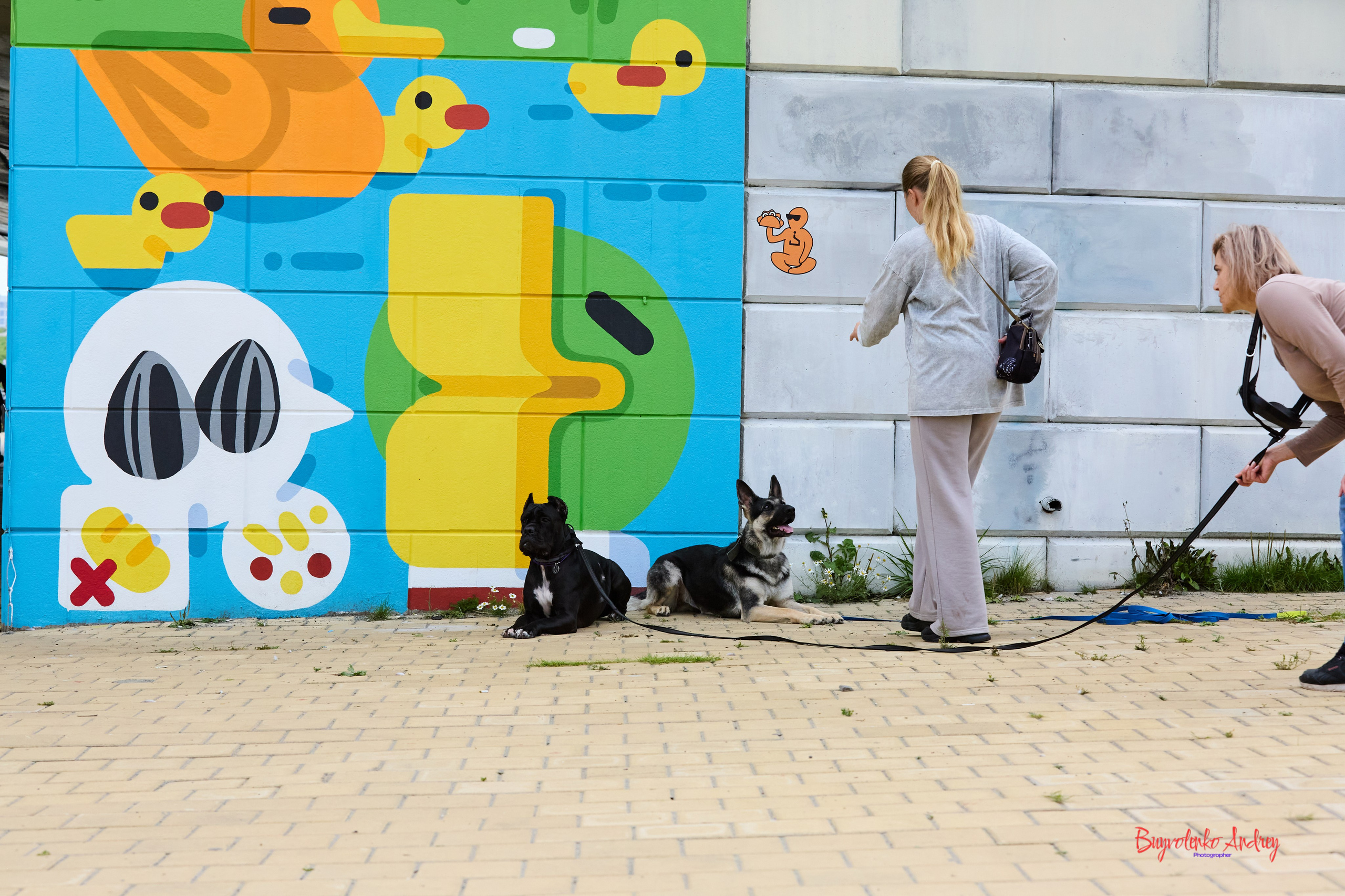 Проект фотопрогулка с хвостиком. Buyvolenko Andrey