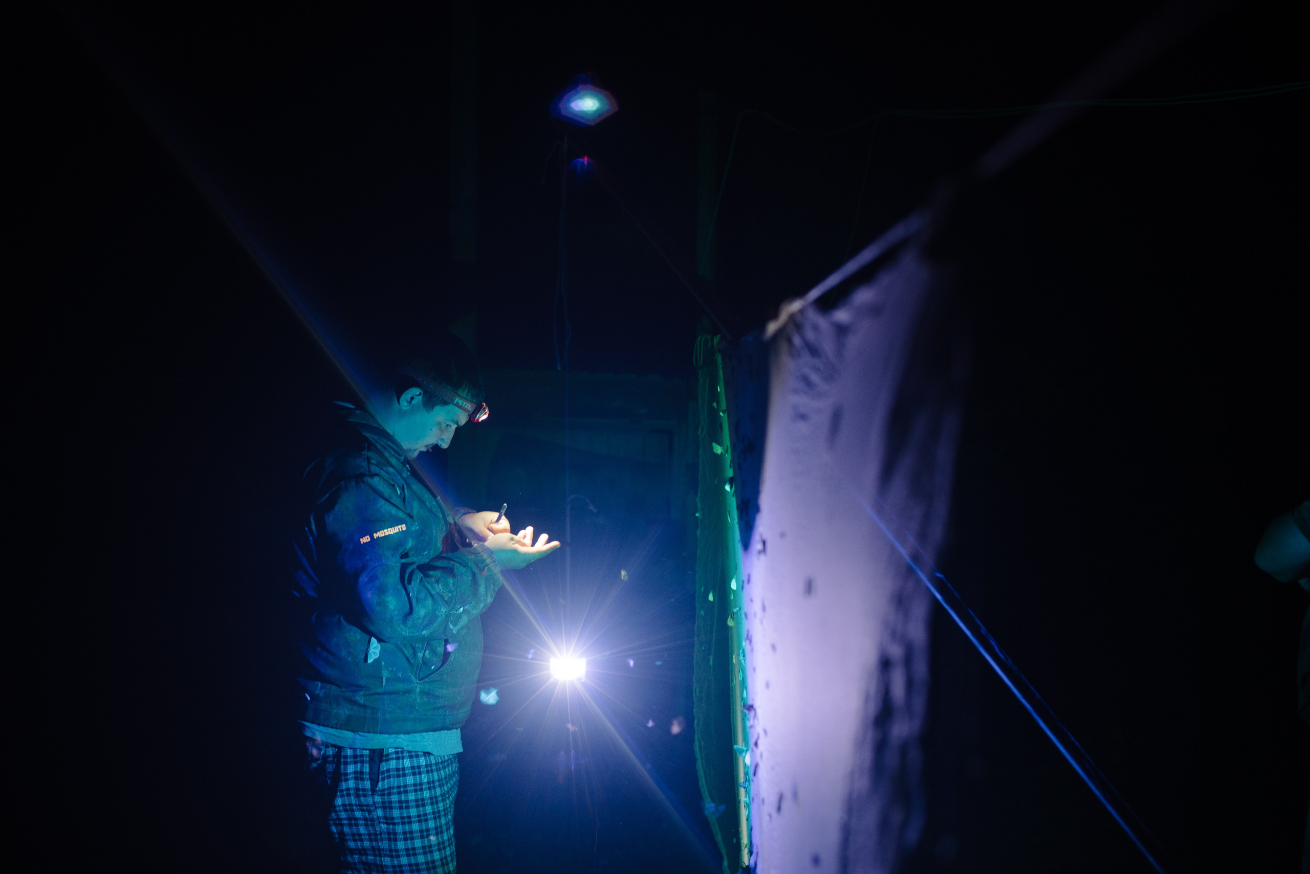 Сахалин и Курильские острова. Фотограф Алиса Калинина