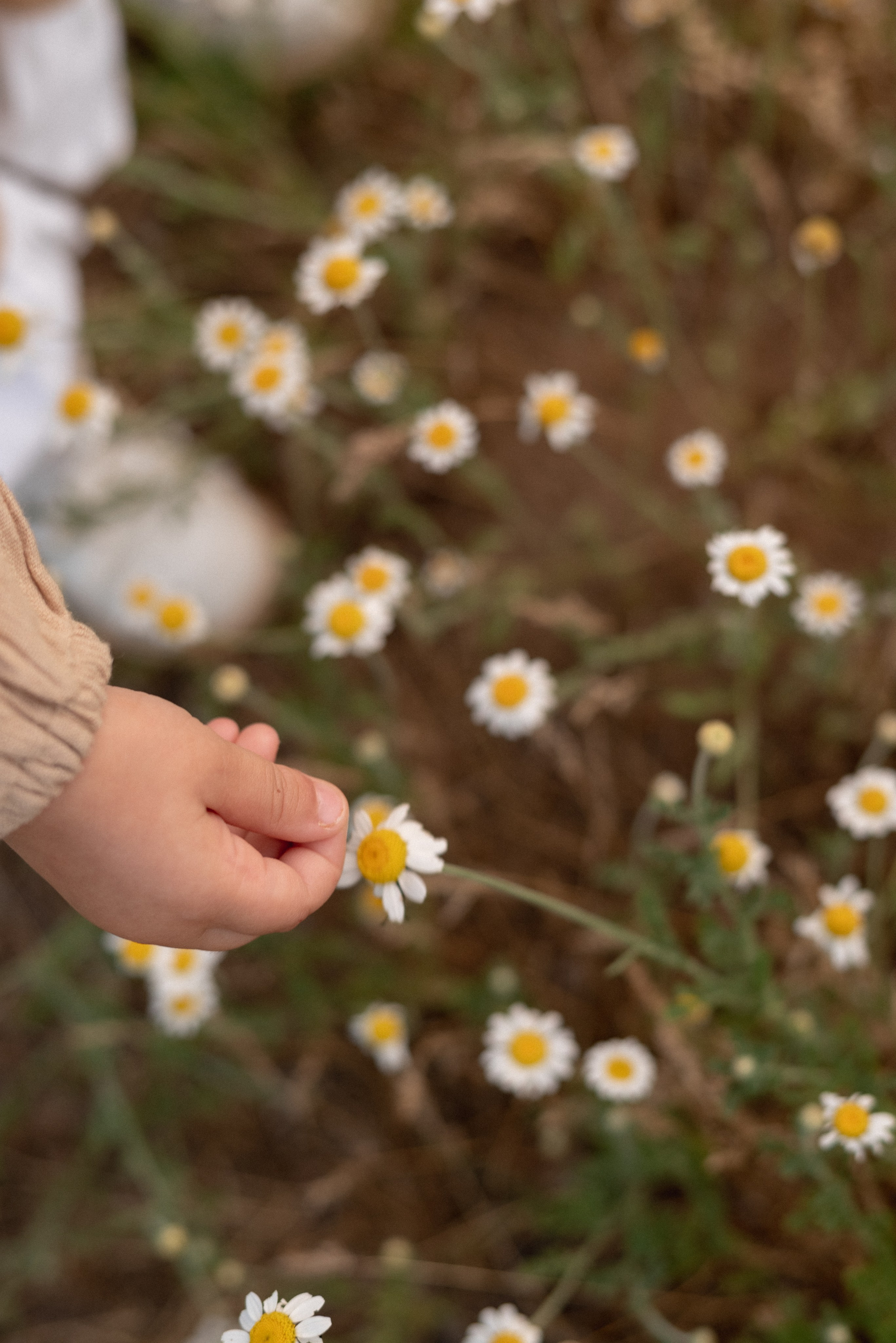 С+Н+В. Семейный фотограф Ирина Сгибнева