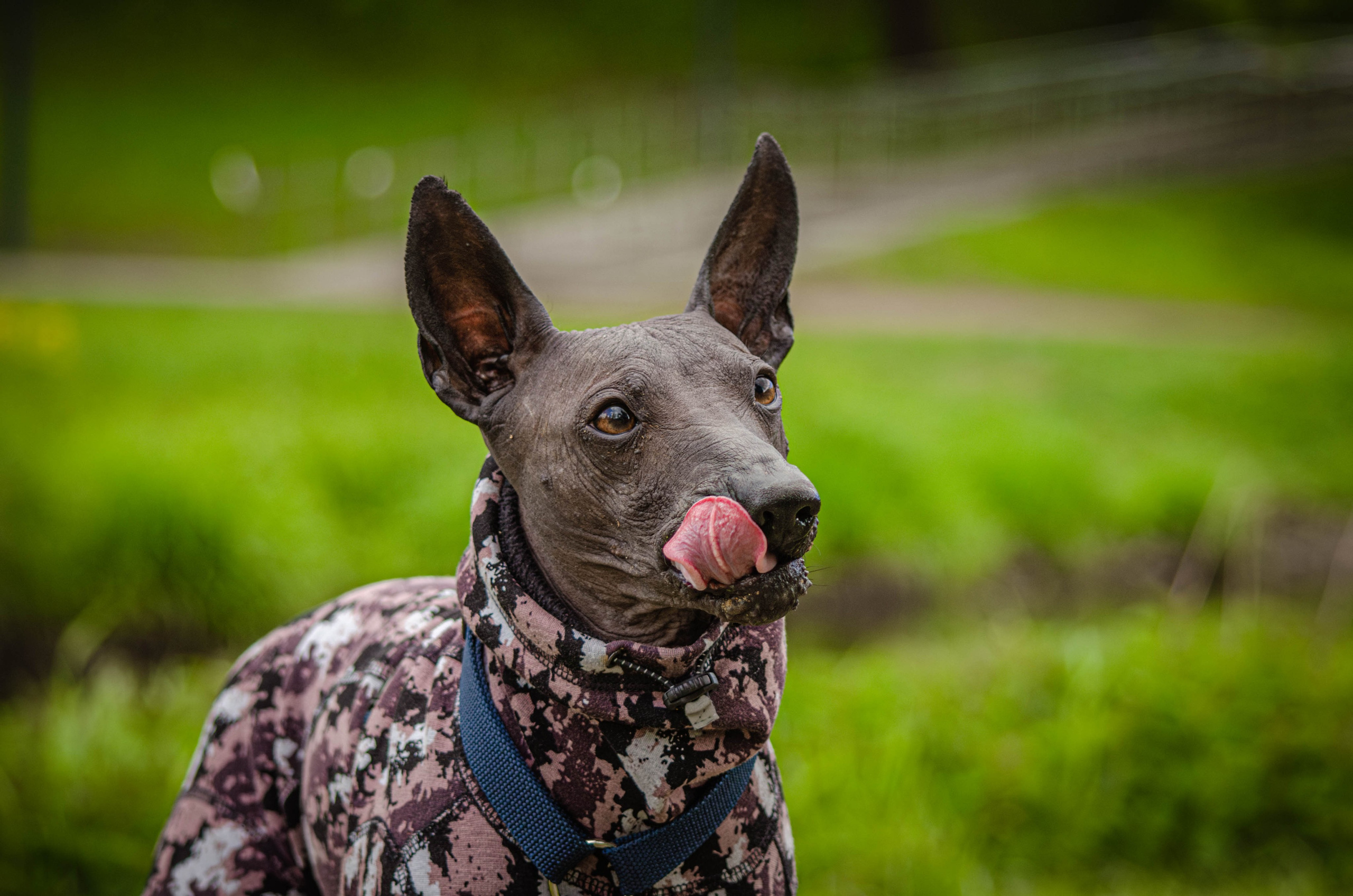 Сёма. Фотограф Светлана Блинова, Москва и Московская область