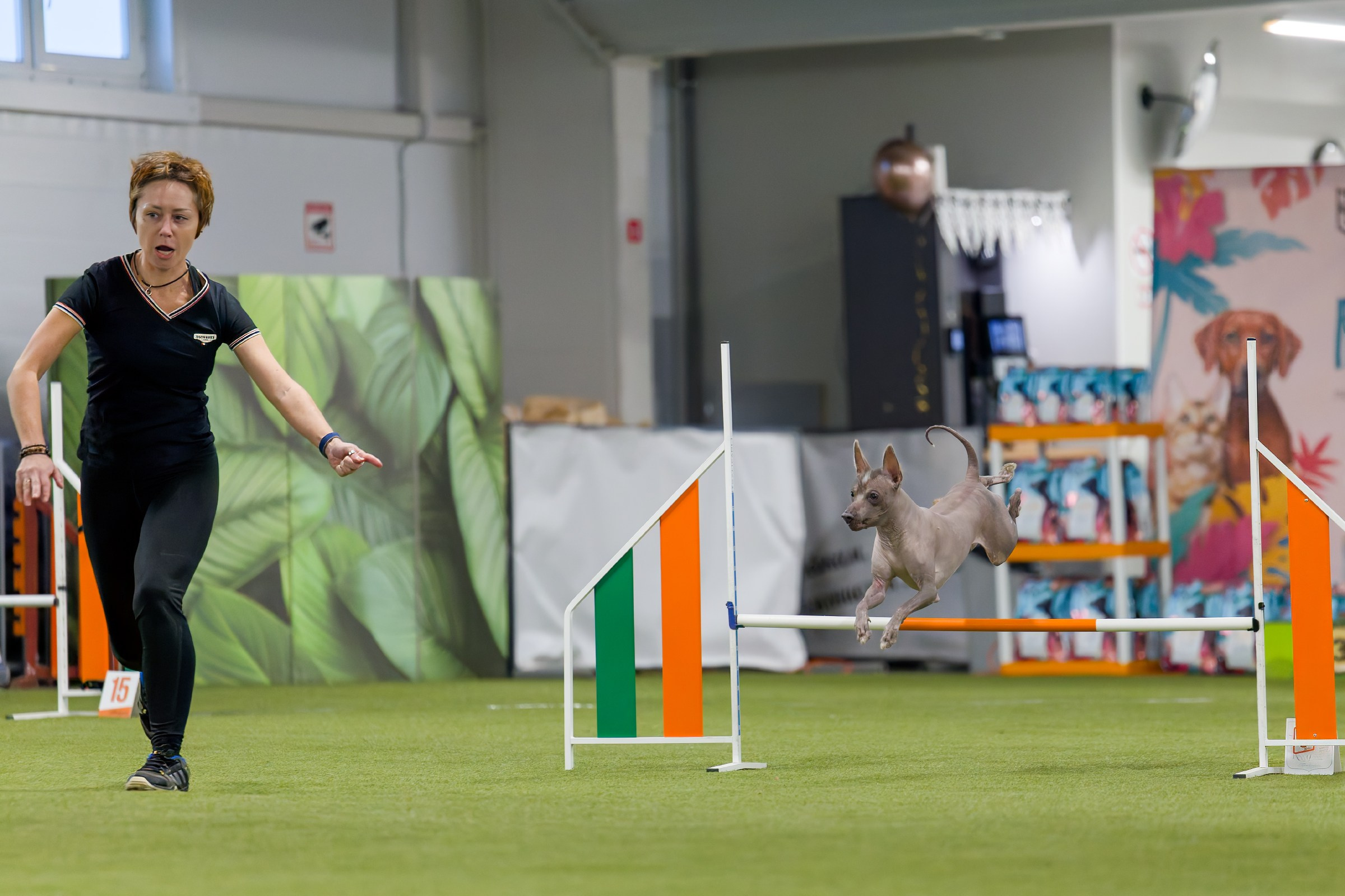 День рождения Пёсбурга — февраль 2025. Irenephoto.ru