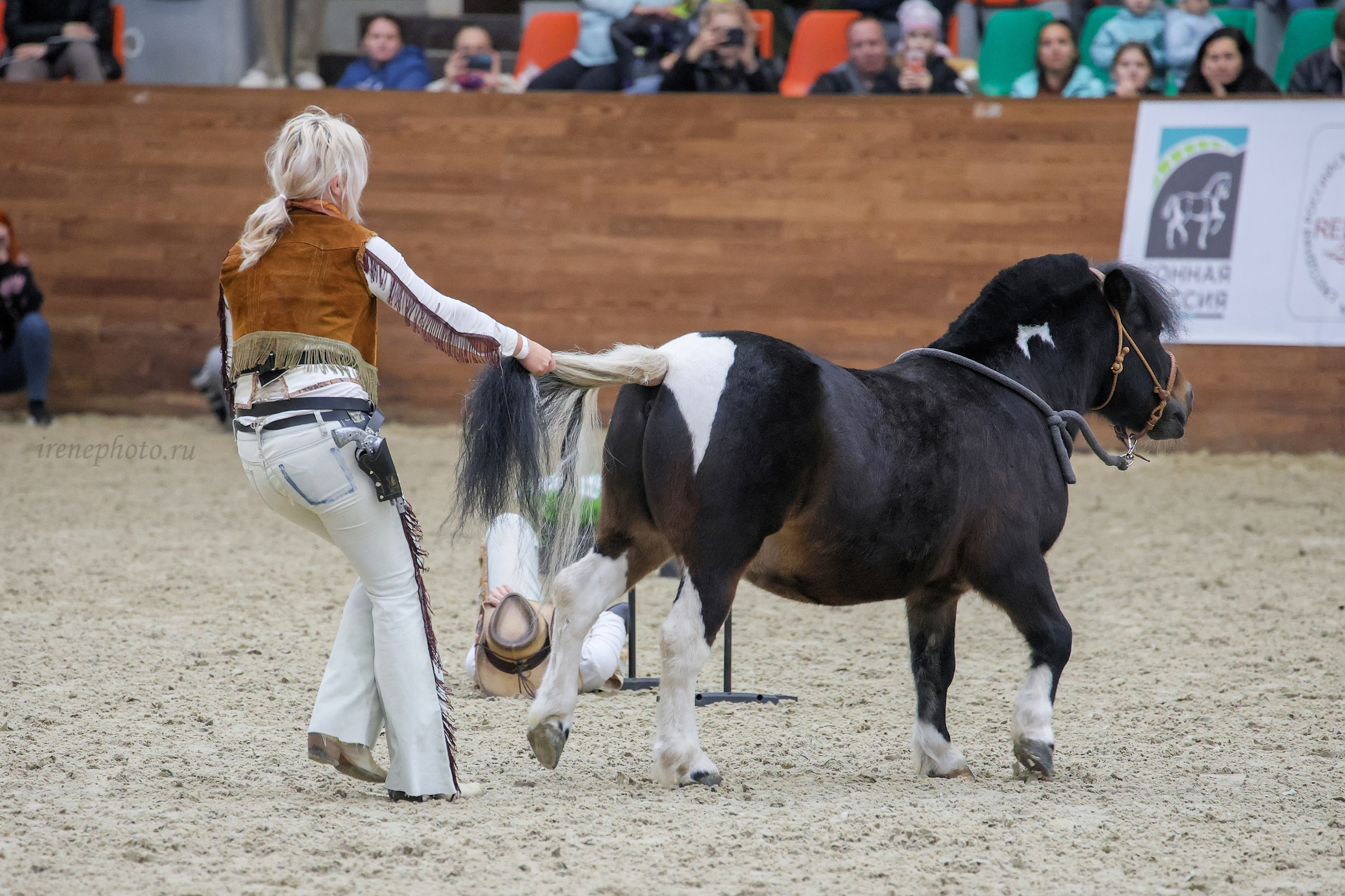 Конная Россия 2024. Irenephoto.ru
