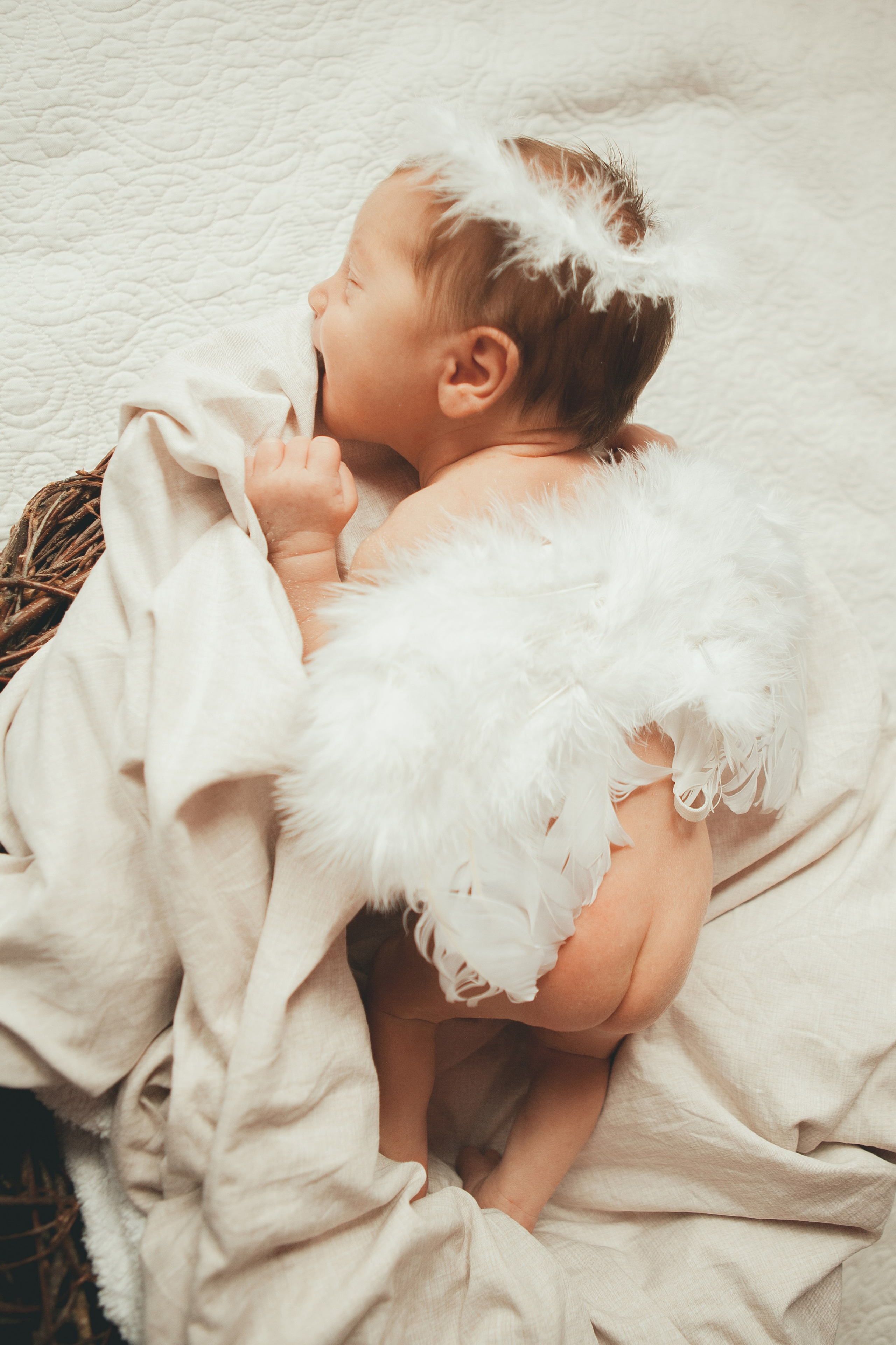 Гордей. Фотограф Ольга Ефремова