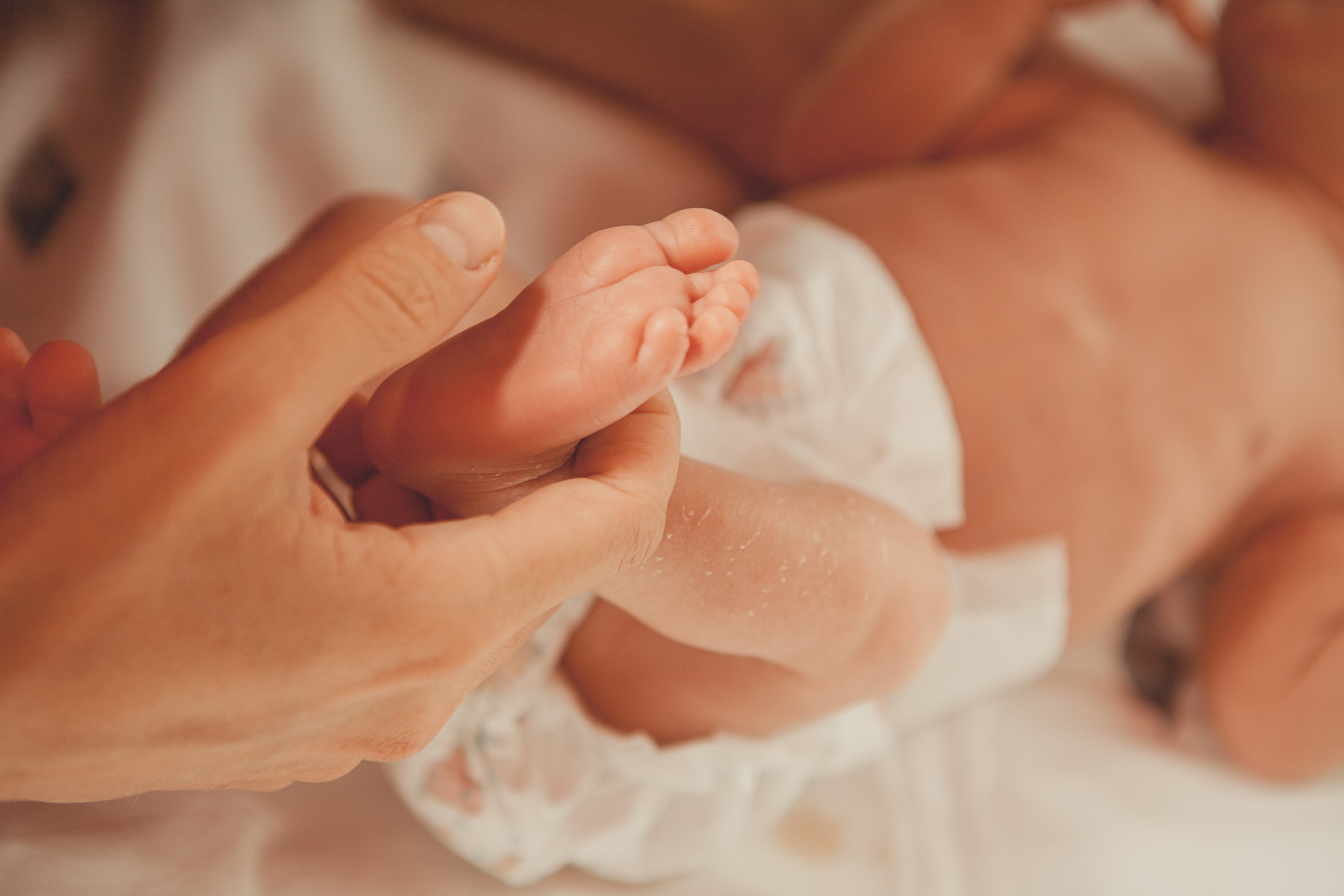 Гордей. Фотограф Ольга Ефремова