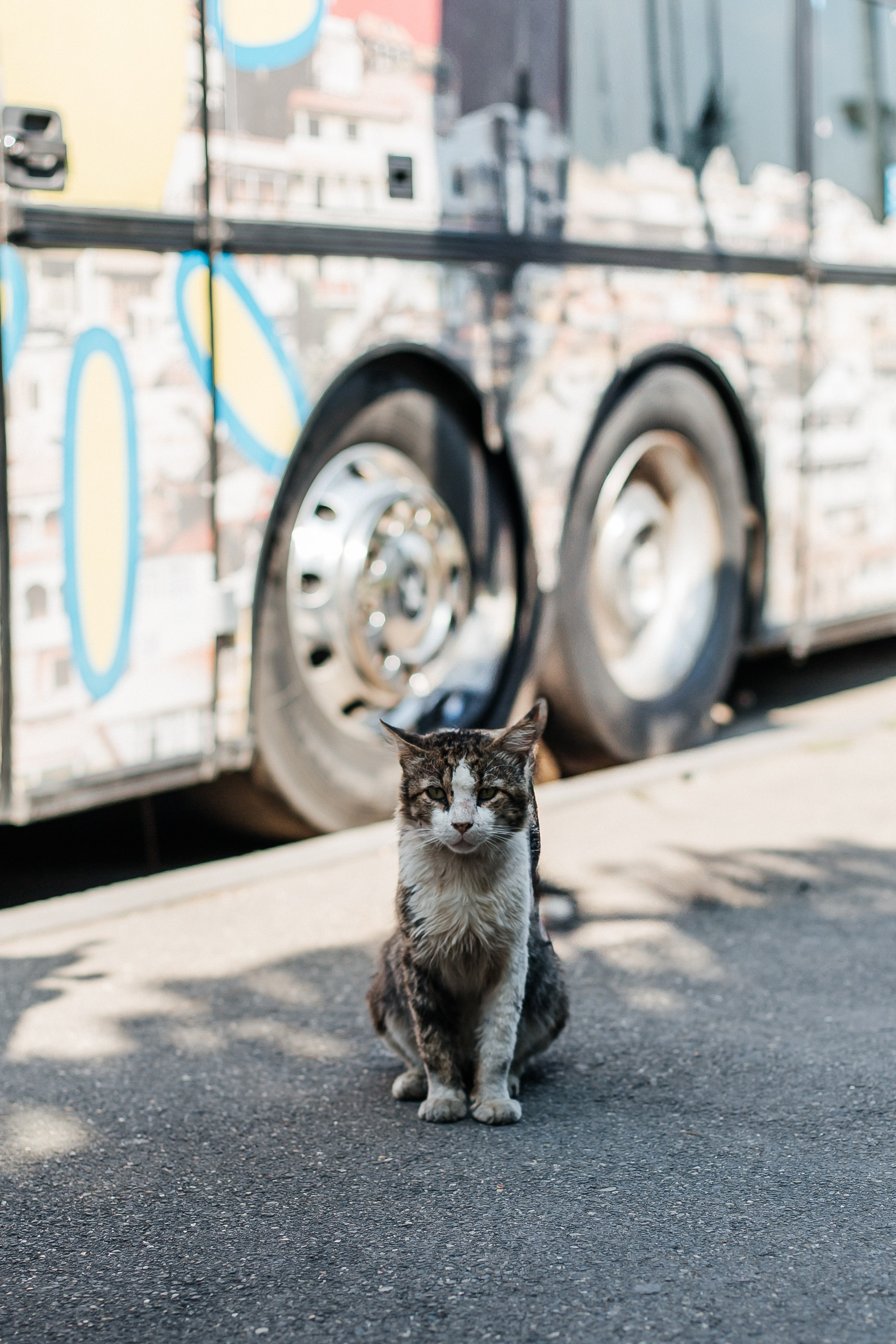 Тур в Грузию