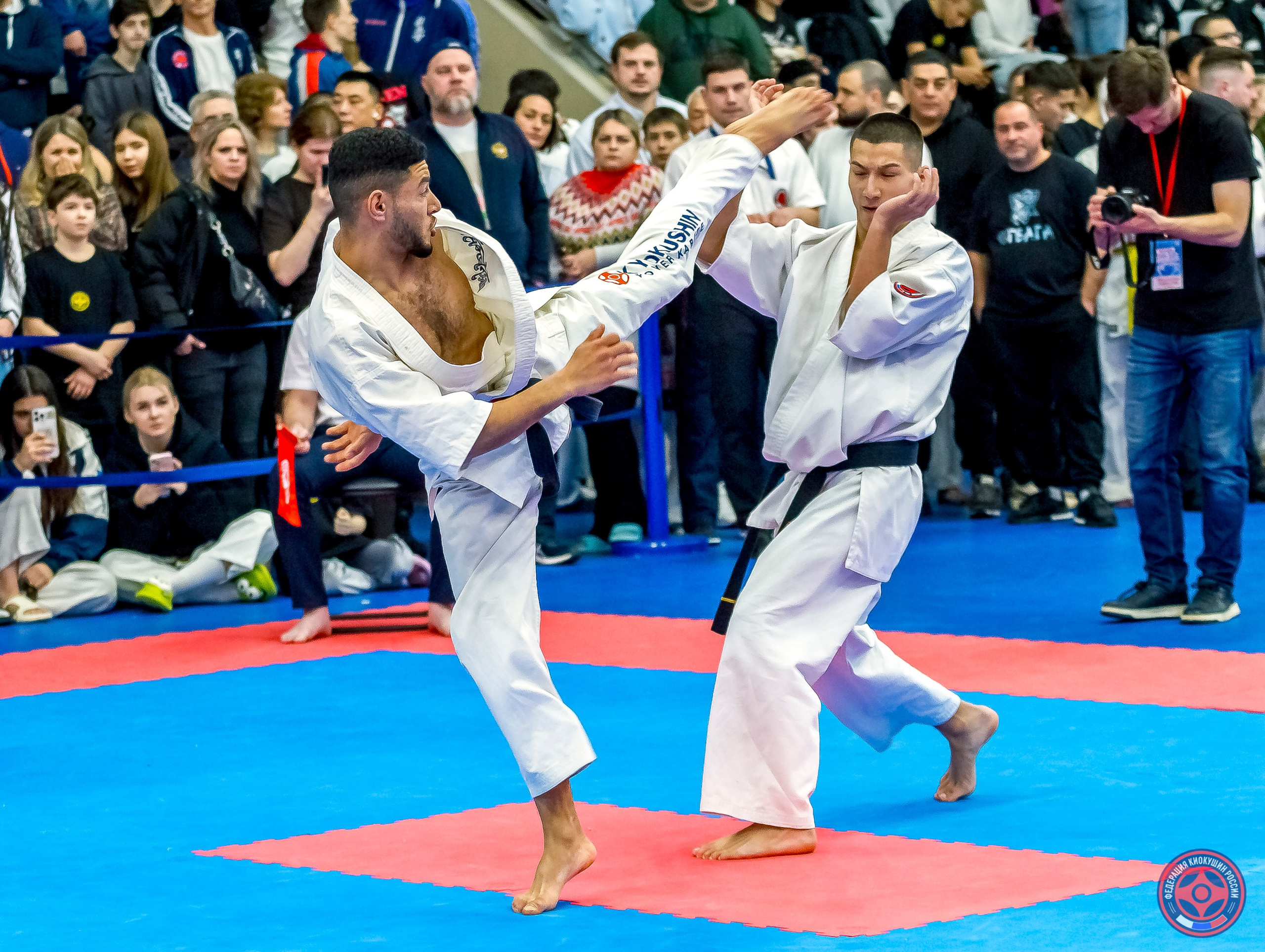 Международный турнир по киокушин «Открытый кубок Seiken». Репортажная съемка в Москве и области. Анималистика