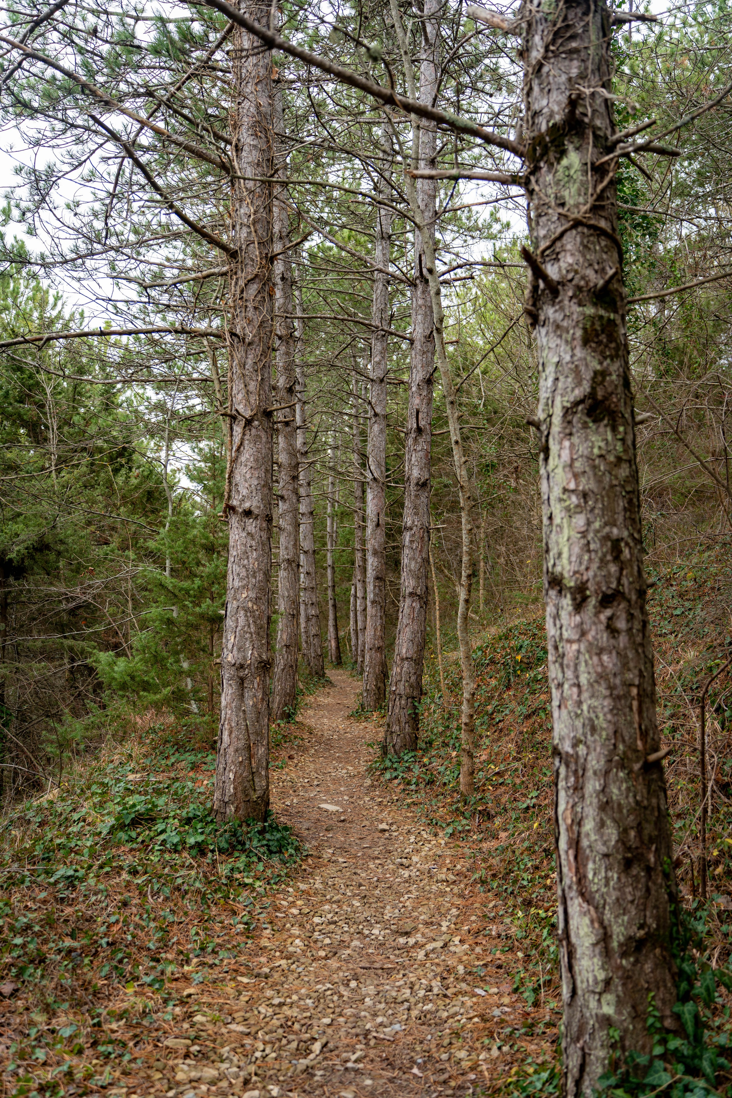 Семейная фотосессия в Абрау-Дюрсо. Семейный и детский фотограф Екатерина Черняева. Снимаю портреты, love story, фотопрогулки, работаю на улице, в кафе, студии, дома у клиента