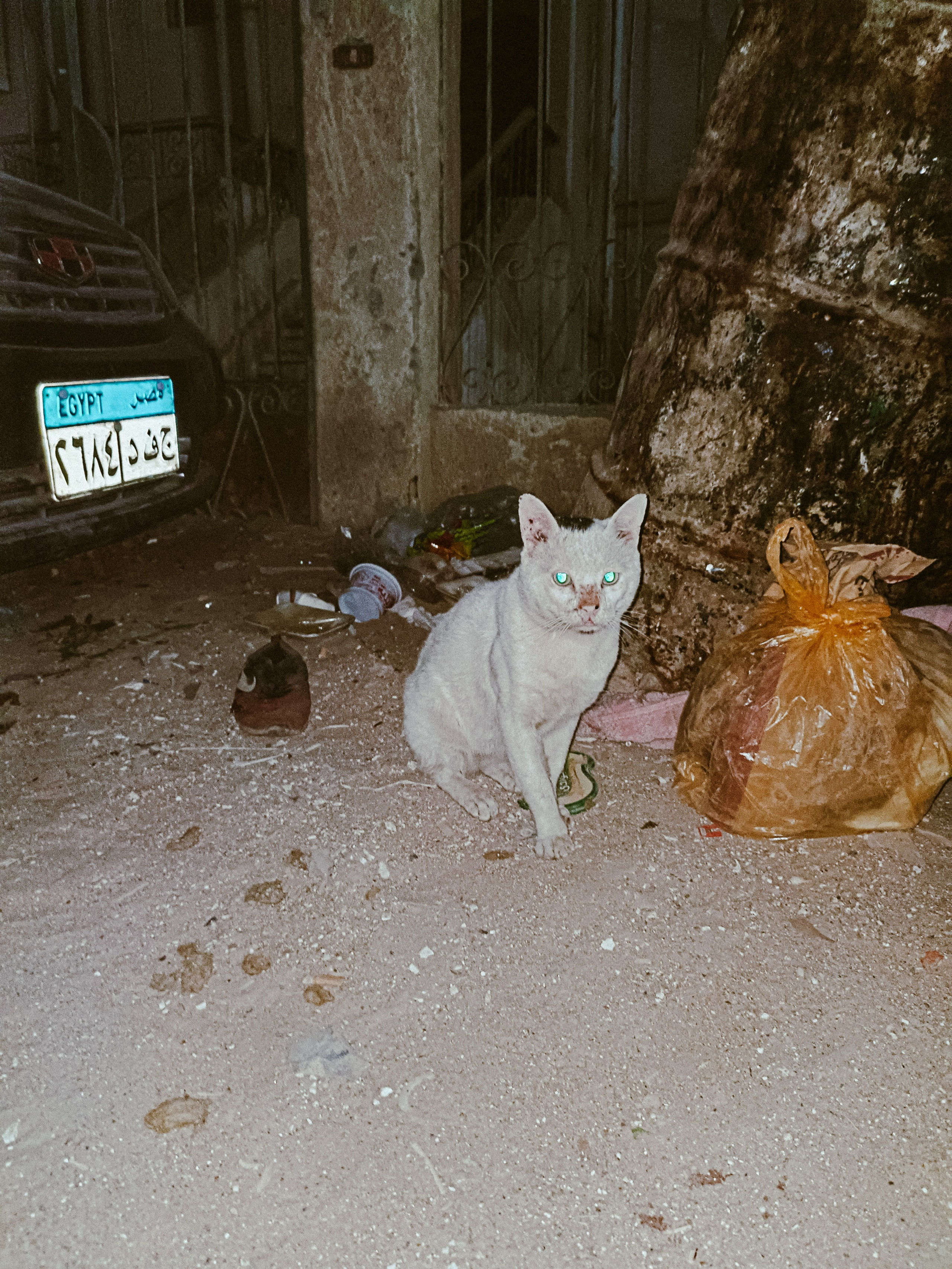 Мобильная. Jorgis — фотограф в Хургаде / обучение фотографии