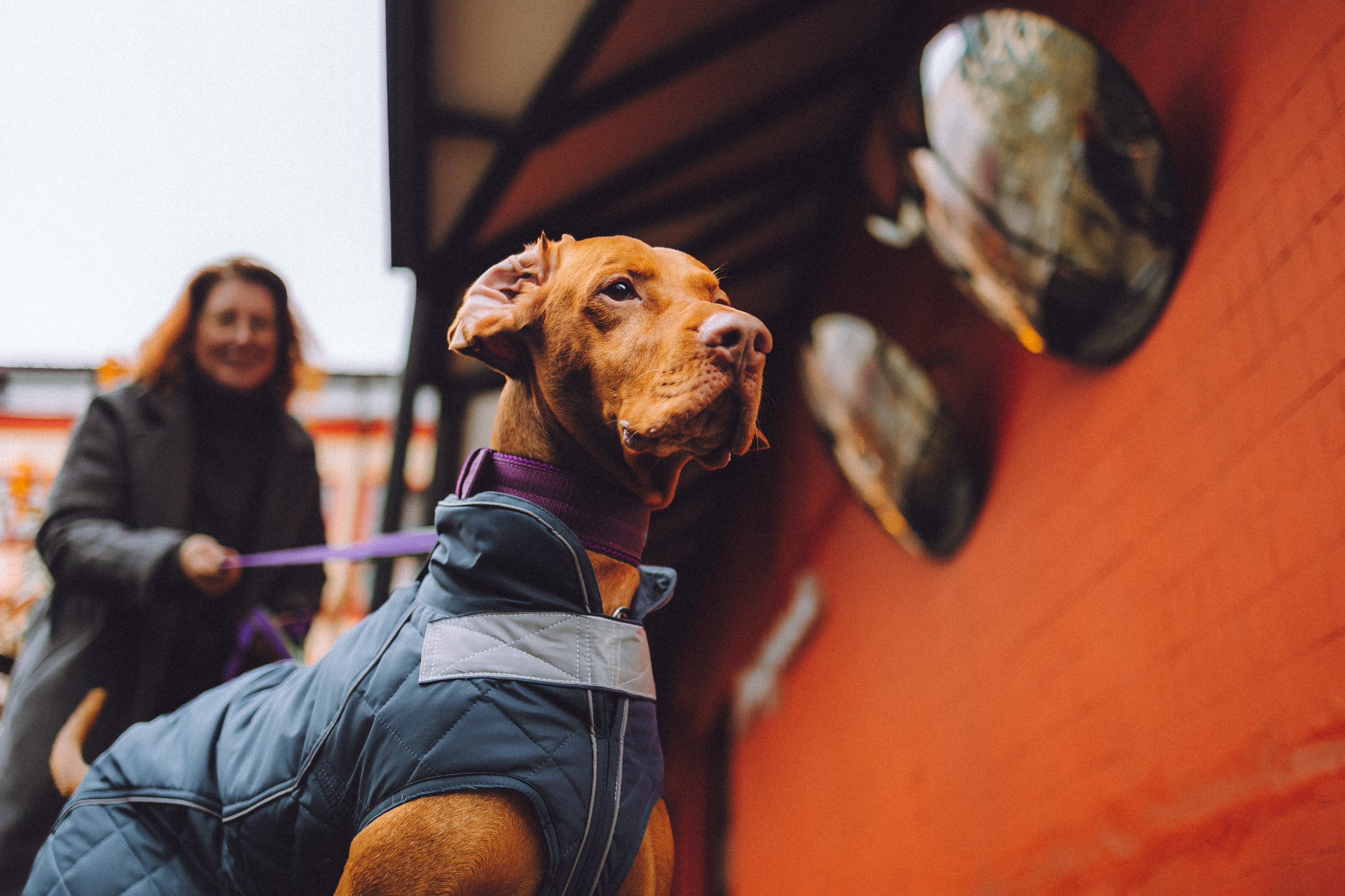 Екатерина и Даня