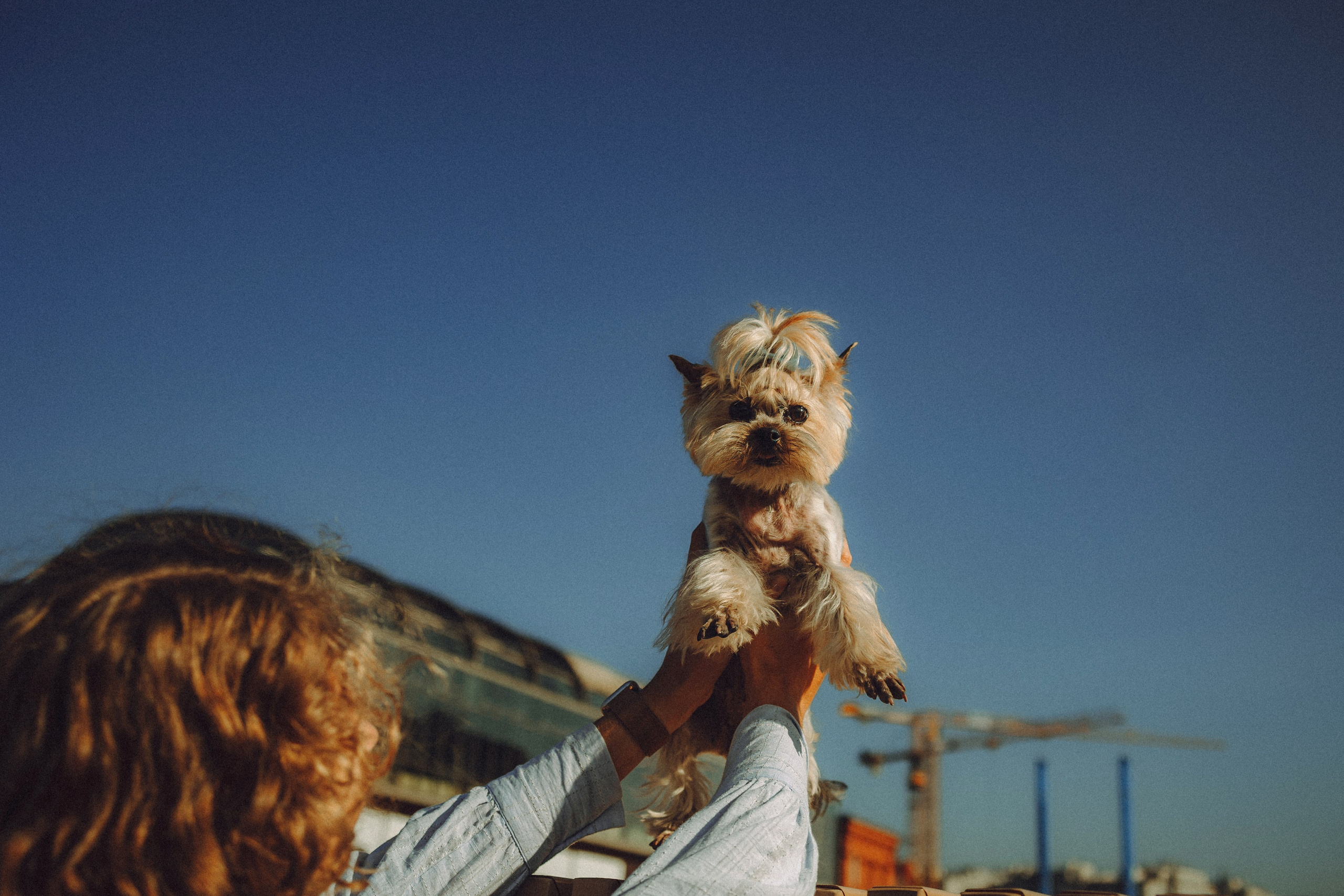 Дженни, Оливия и их семья