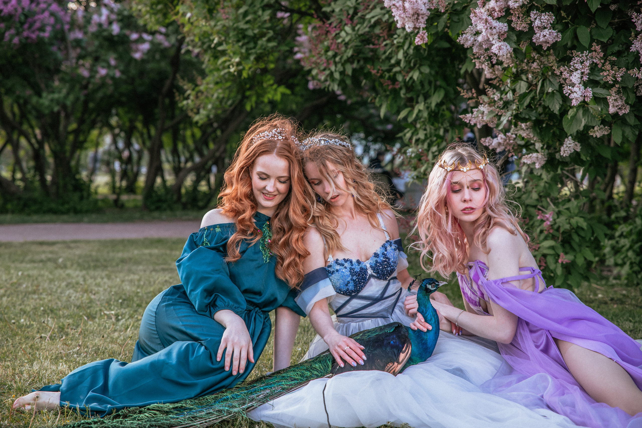 Павлин. Elena Sova — семейный и женский фотограф в Санкт-Петербурге