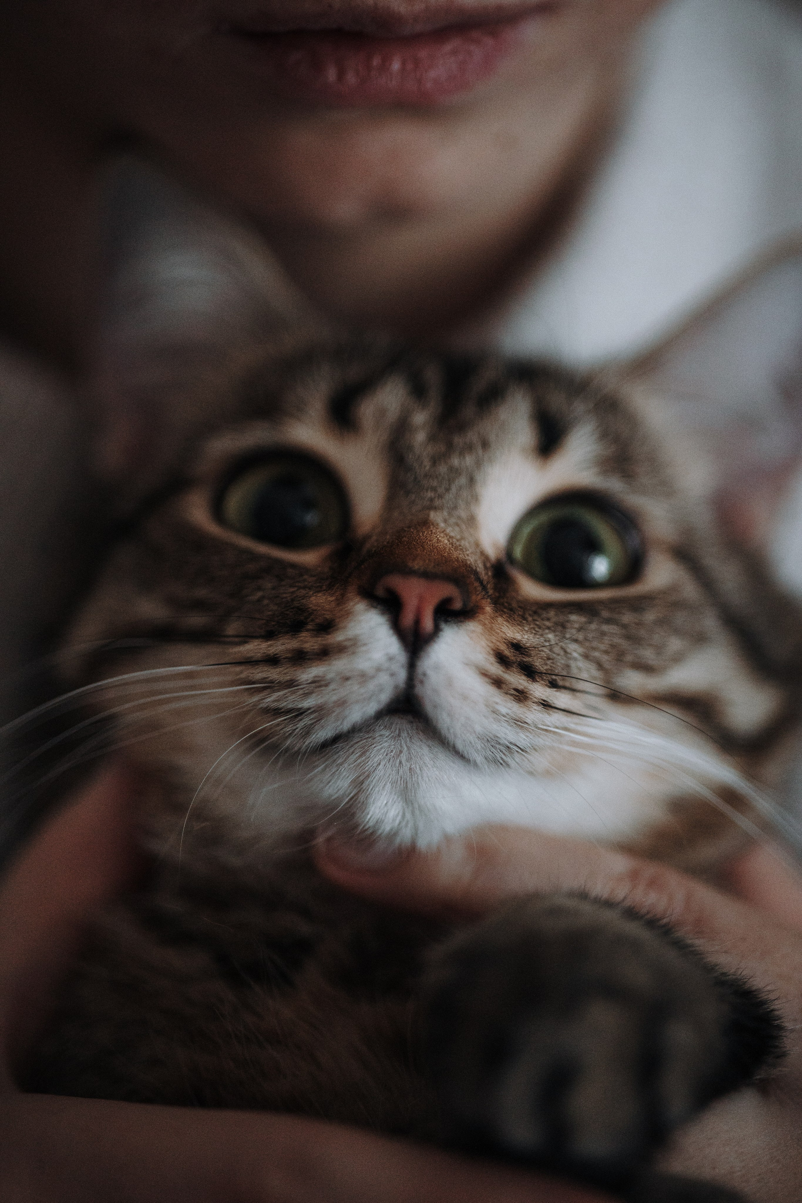 Мася и ее семья. Фотограф — Анималист | Санкт-Петербург