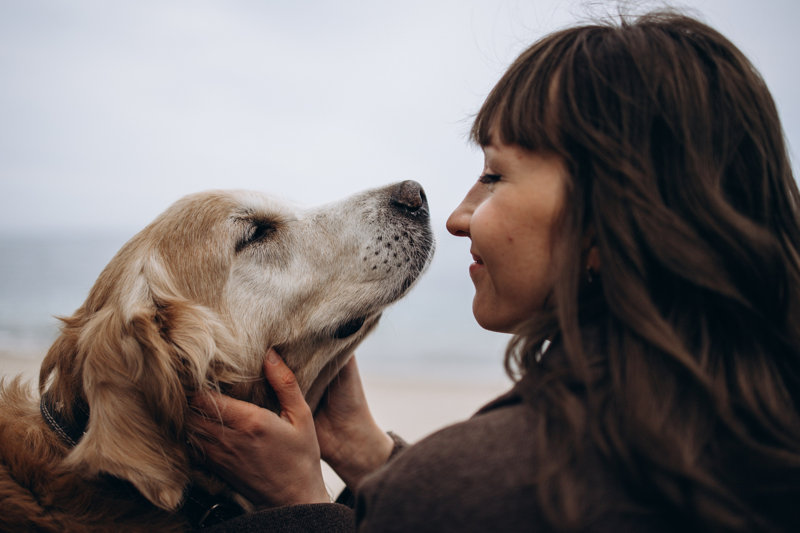 Юля и Максик. Фотограф — Анималист | Санкт-Петербург