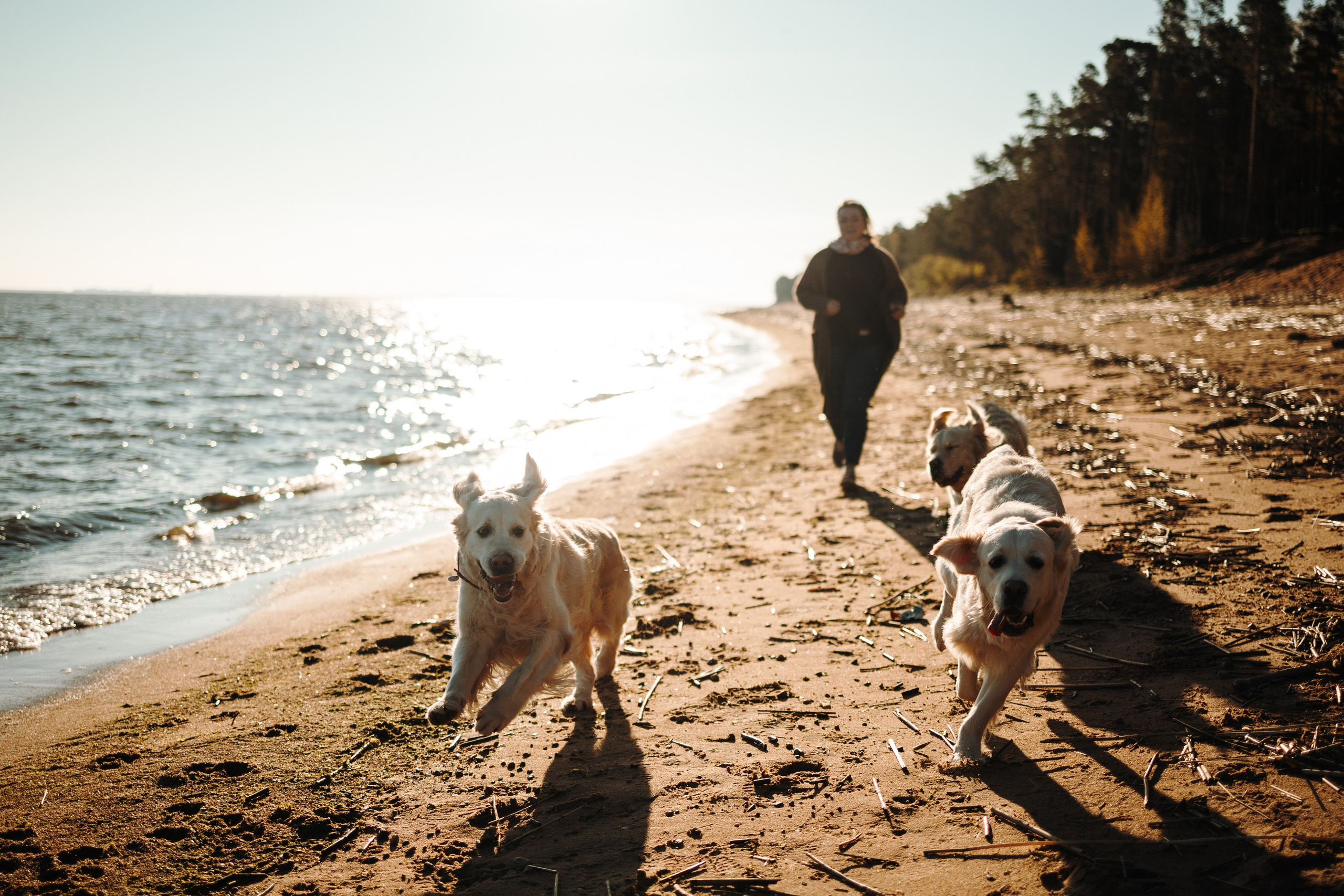Катя и ее девочки. Фотограф — Анималист | Санкт-Петербург