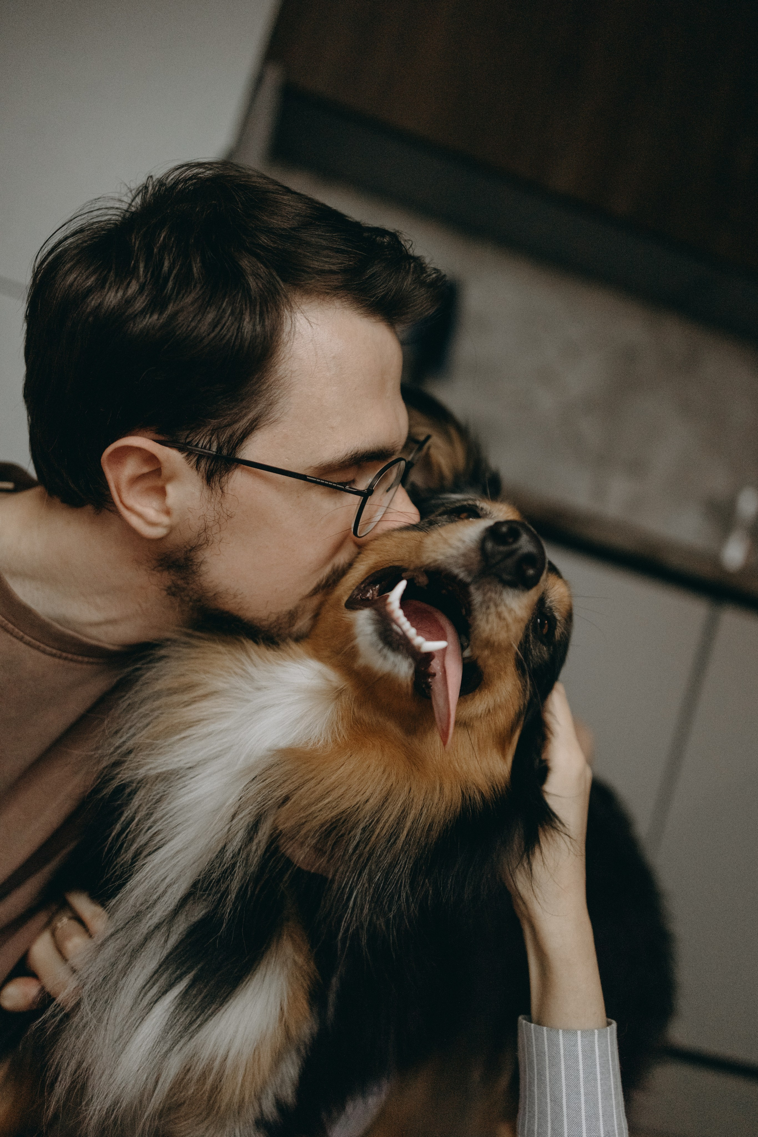 Настя, Никита и их Гром и Мяу. Фотограф — Анималист | Санкт-Петербург