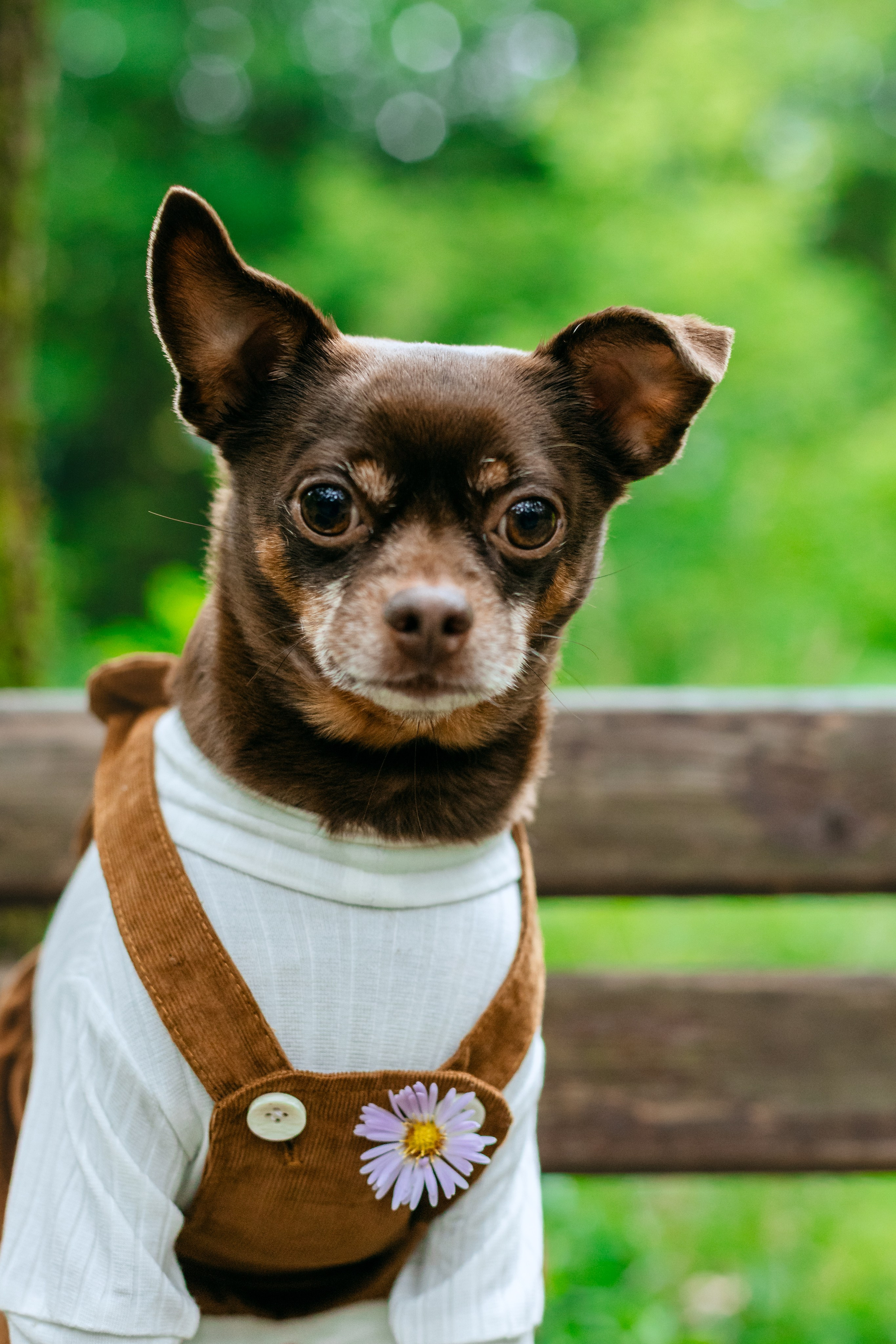Юля и Леонид. Фотограф-анималист Татьяна Степанова