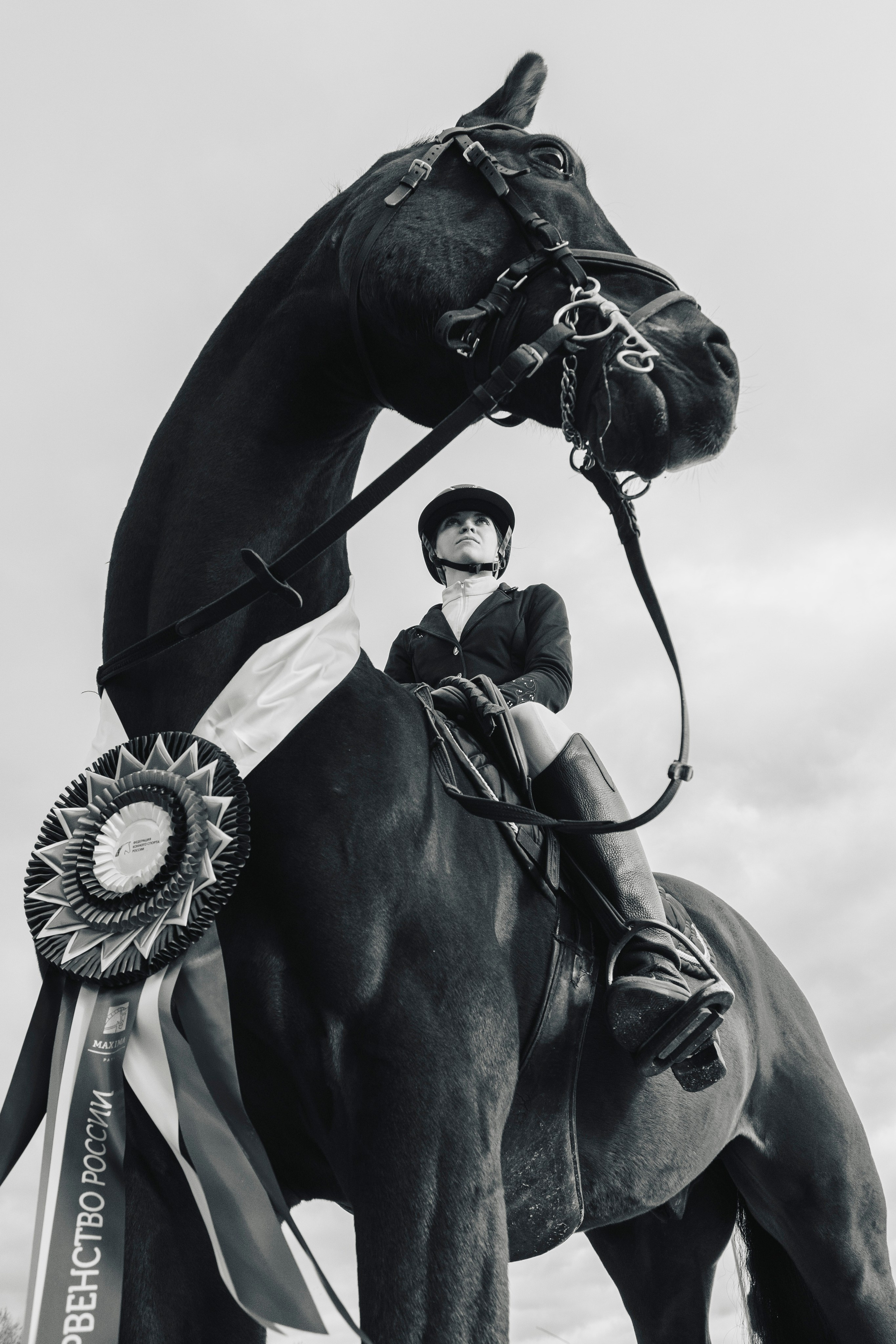 Фотографии с турниров. Конный фотограф Дарья Полянина