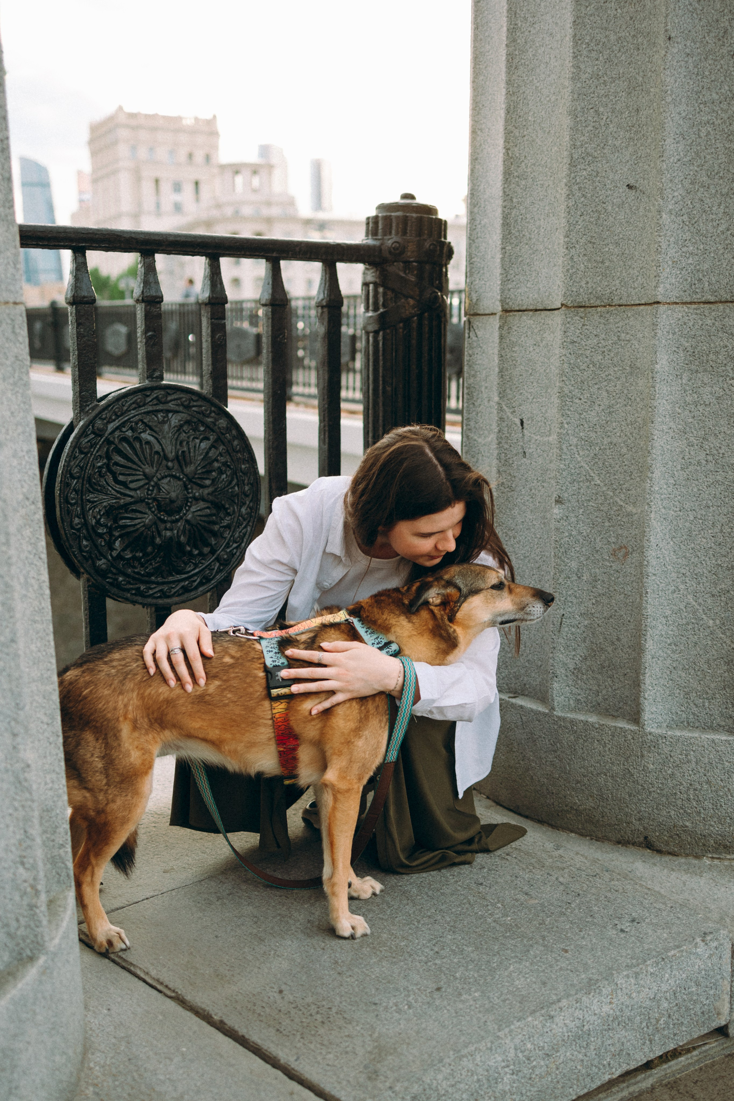 Глаша, Айрон, Ксюша и Оля. Фотограф анималист Анастасия Пикей