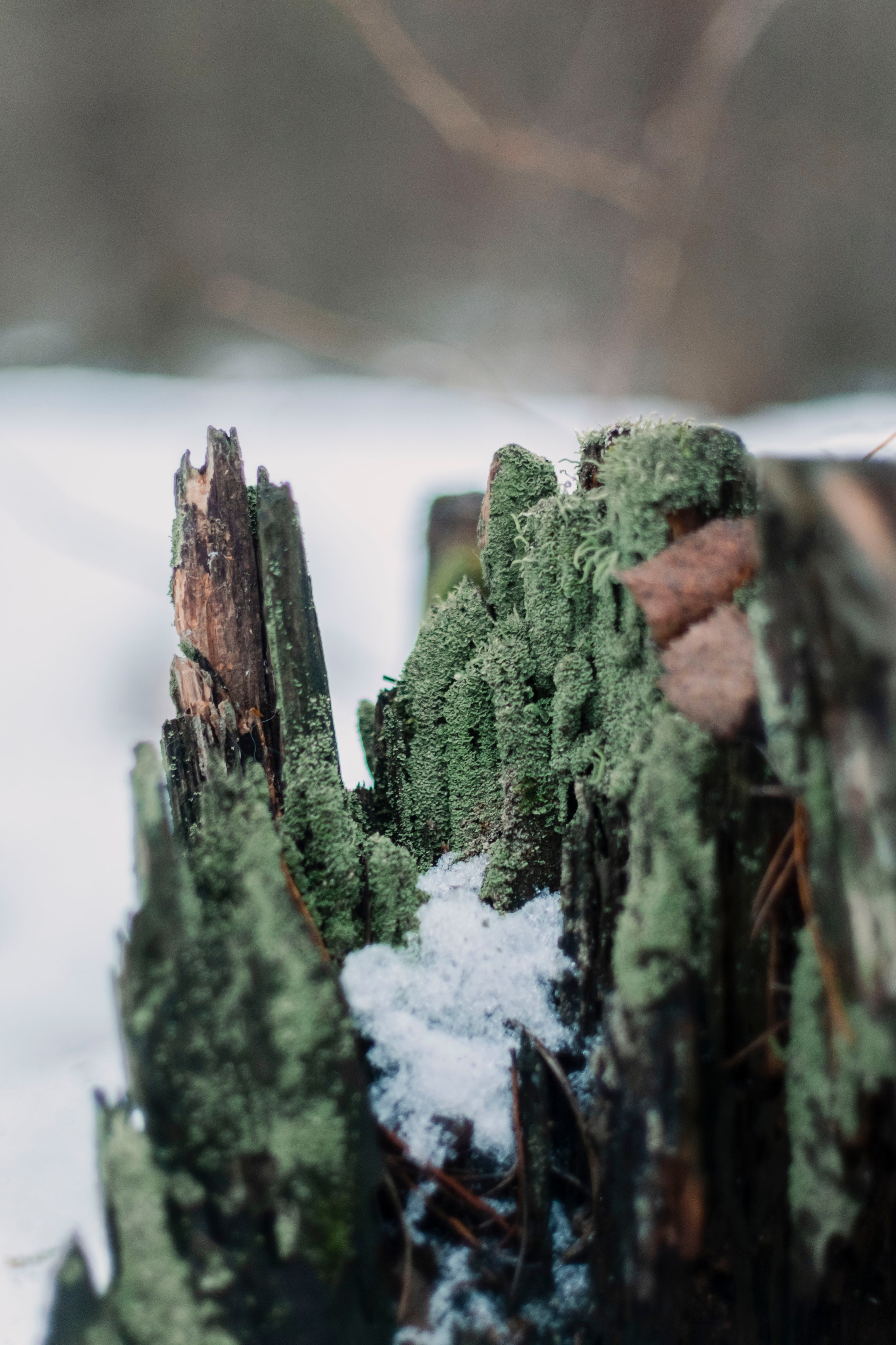 Пейзажи. Фотограф Димитровград Казань Валерия Владимиркина