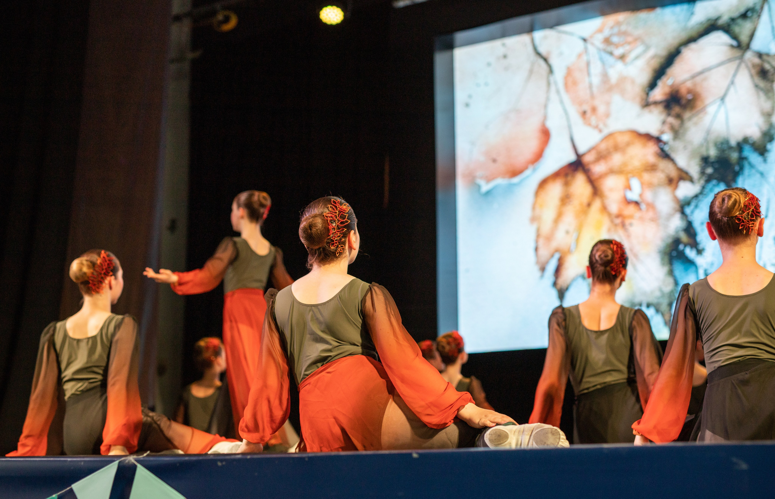 Отчетный концерт Danse Classique. Фотограф в Нижнем Новгороде, Дзержинске Олеся Хозяева