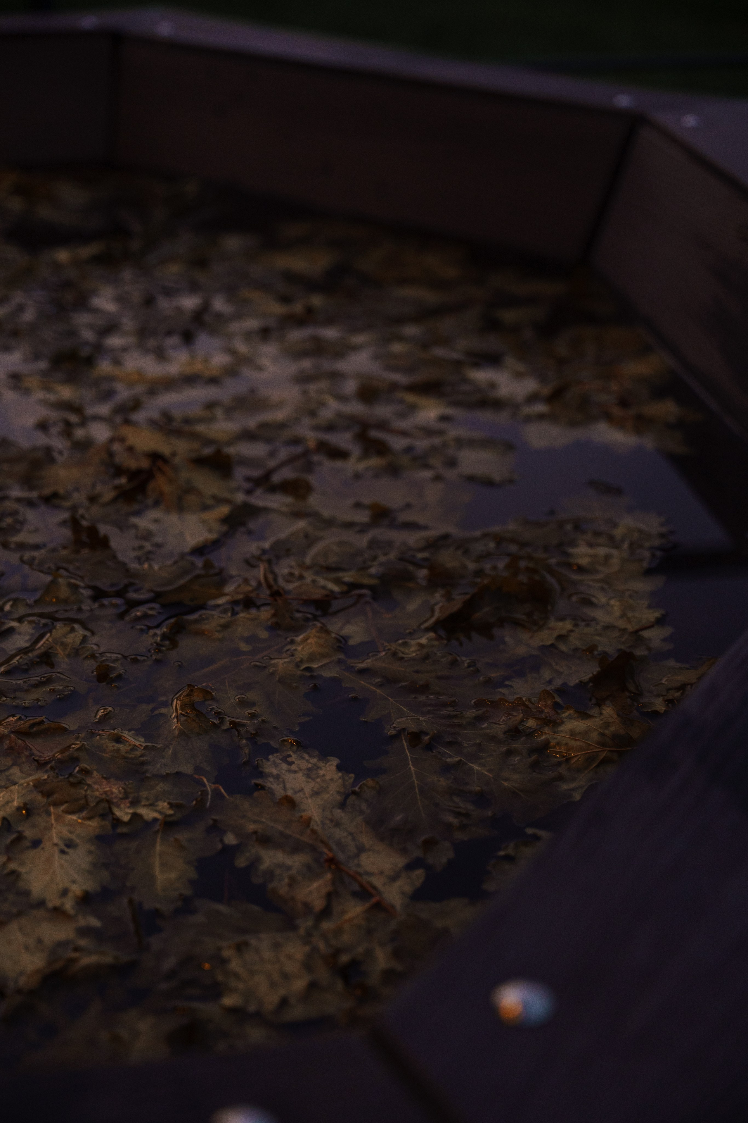 Глемпинг Трофимов берег Москва