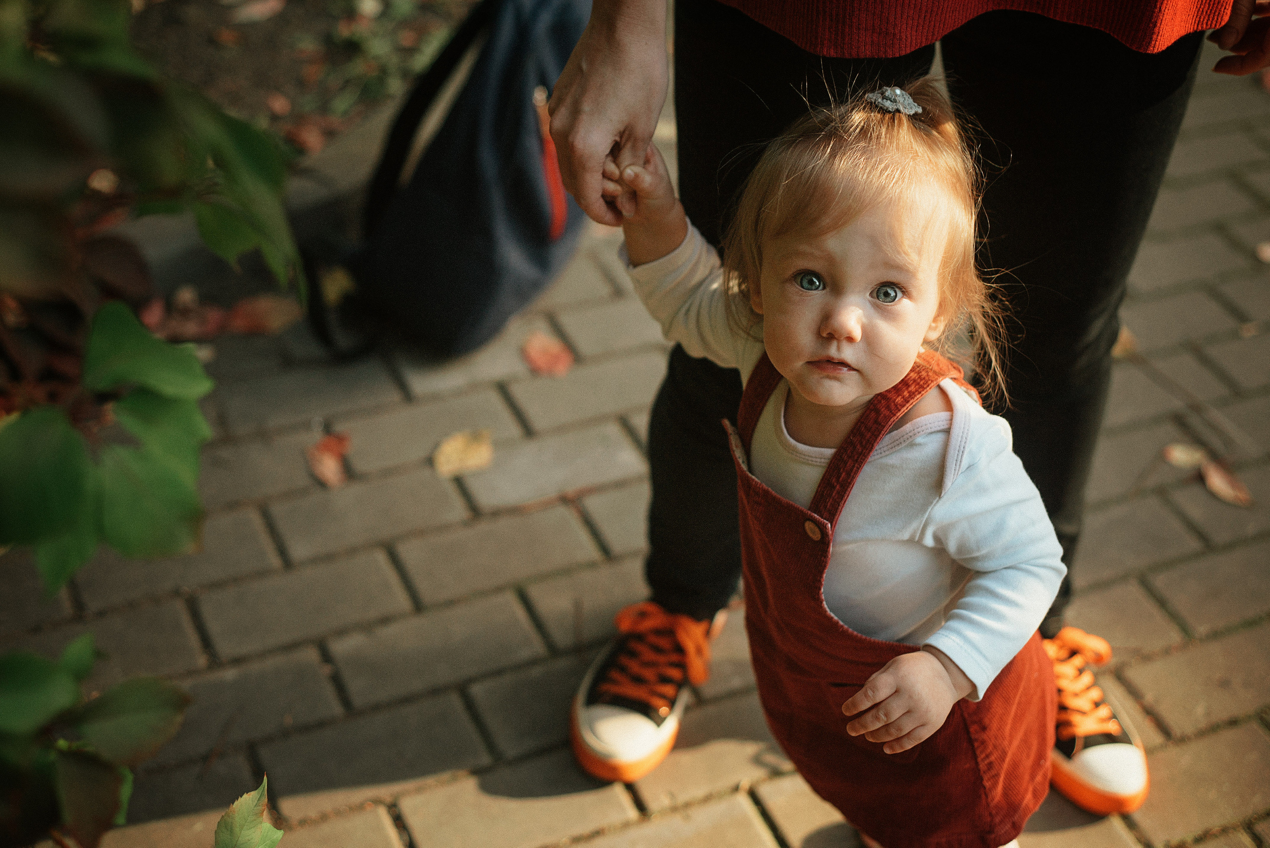 Аня, Сережа, Вика и Рита. Семейный фотограф. Великанова Ирина. Санкт-Петербург. Пушкин