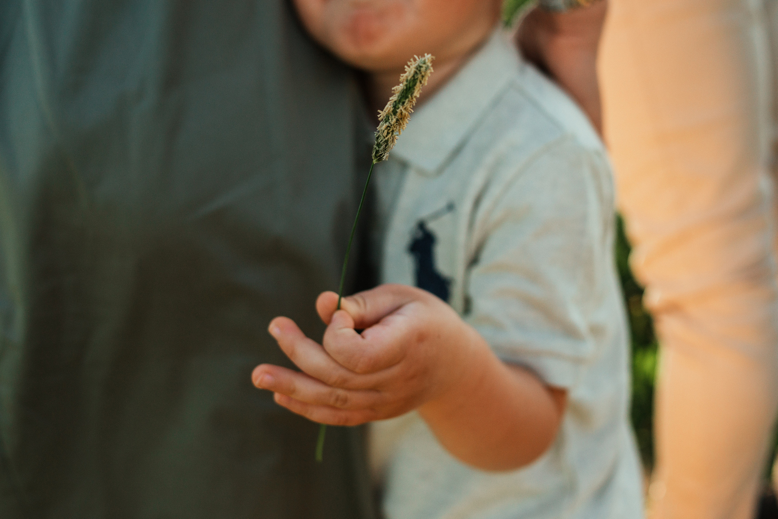 Даша, Андрей и Дима. Семейный фотограф. Великанова Ирина. Санкт-Петербург. Пушкин