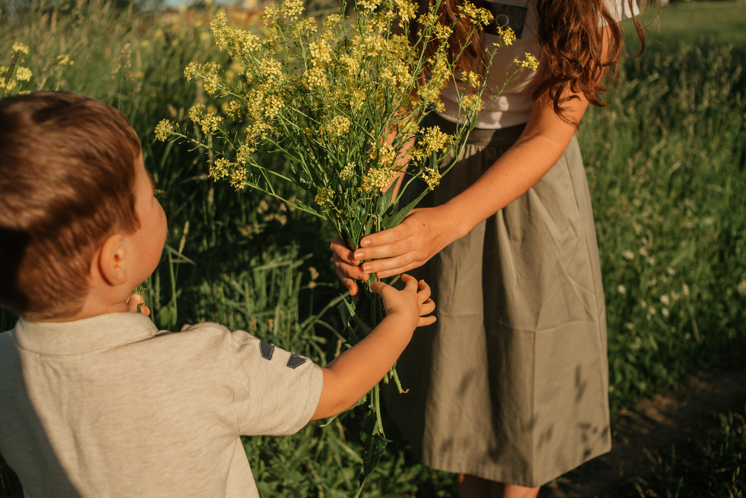 Даша, Андрей и Дима. Семейный фотограф. Великанова Ирина. Санкт-Петербург. Пушкин