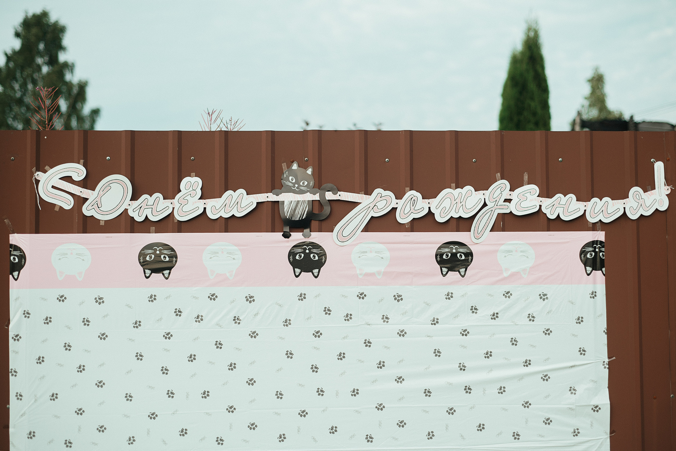 День Рождения Алисы. Семейный фотограф. Великанова Ирина. Санкт-Петербург. Пушкин