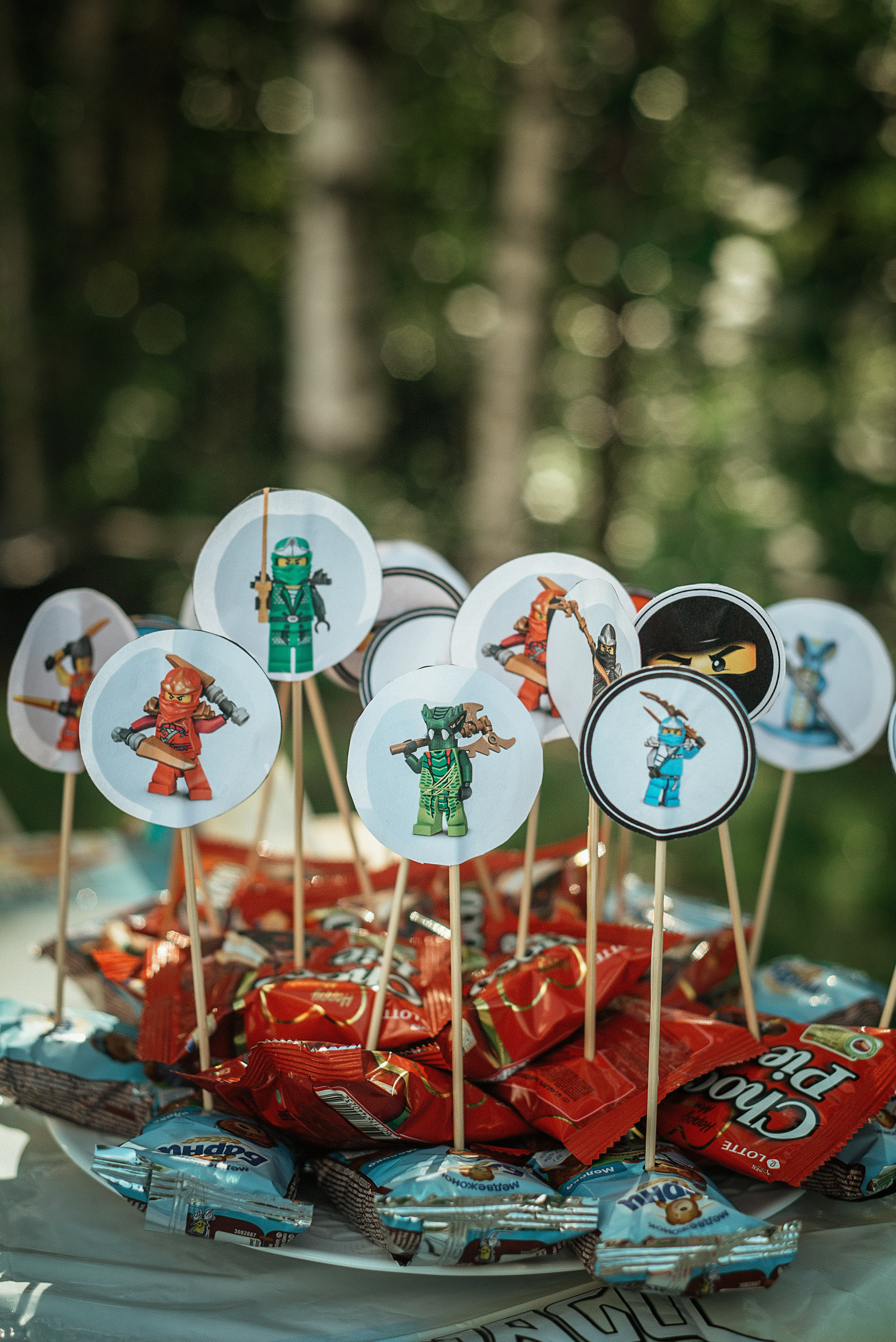 День Рождения Влада. Семейный фотограф. Великанова Ирина. Санкт-Петербург. Пушкин