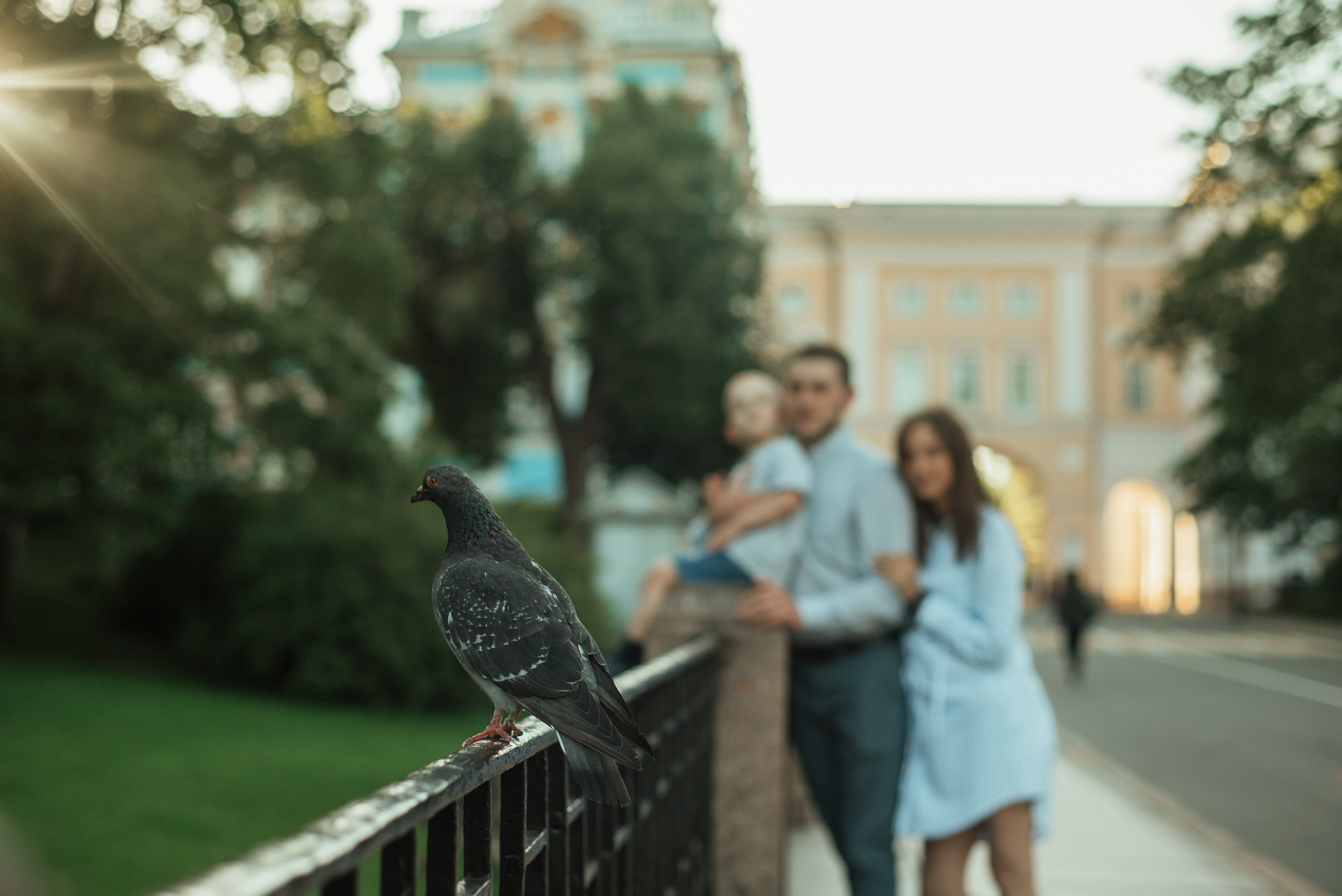 Алёна, Александр и Никита, часть 1. Семейный фотограф. Великанова Ирина. Санкт-Петербург. Пушкин