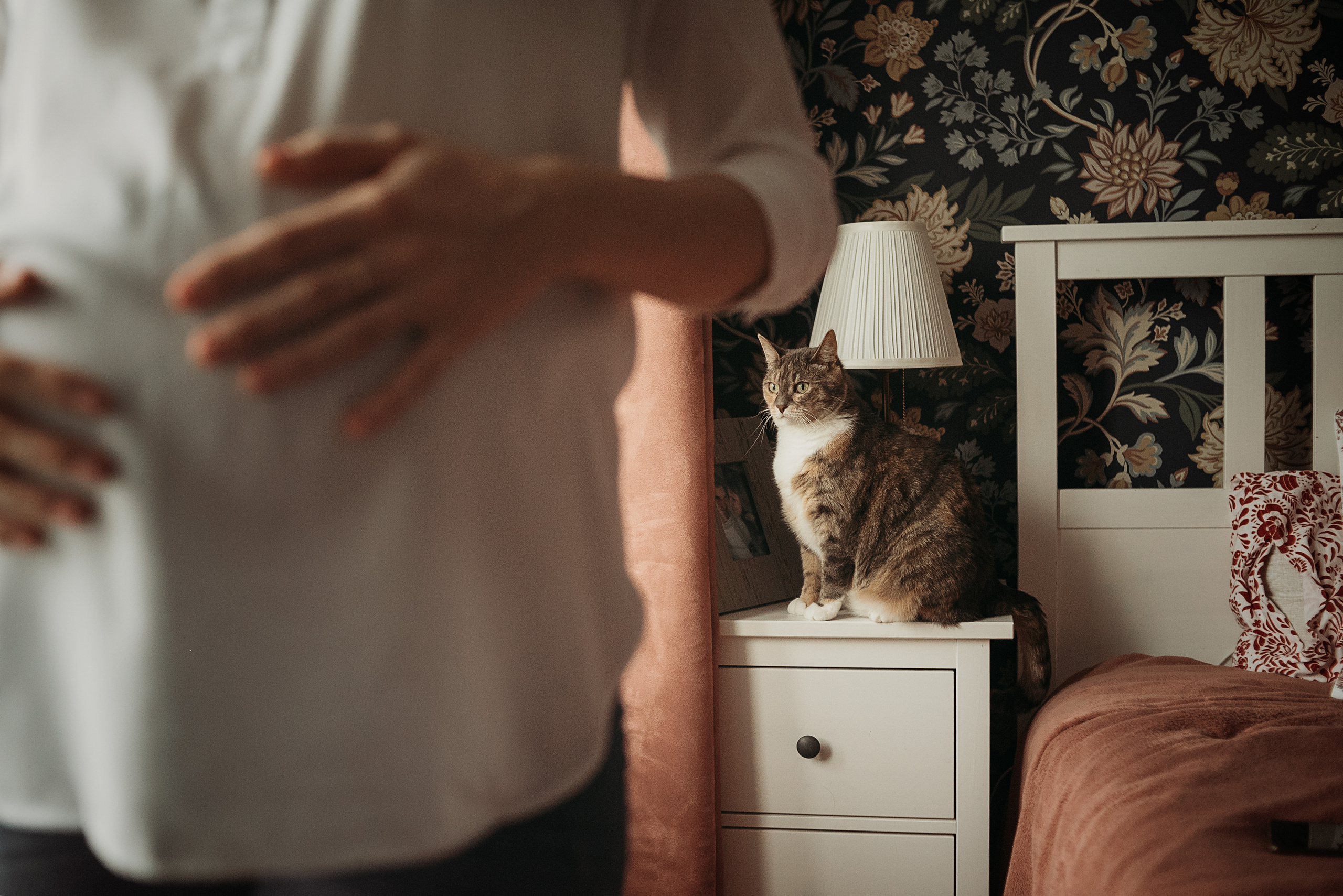 Аня и Лёша. Семейный фотограф. Великанова Ирина. Санкт-Петербург. Пушкин