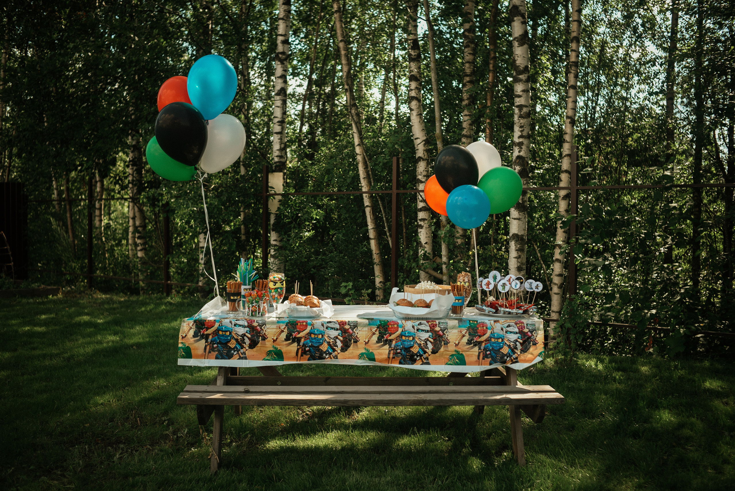 День Рождения Влада. Семейный фотограф. Великанова Ирина. Санкт-Петербург. Пушкин