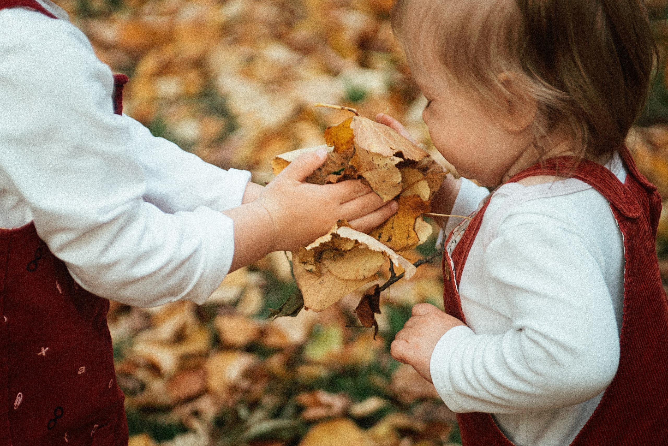 Аня, Сережа, Вика и Рита. Семейный фотограф. Великанова Ирина. Санкт-Петербург. Пушкин