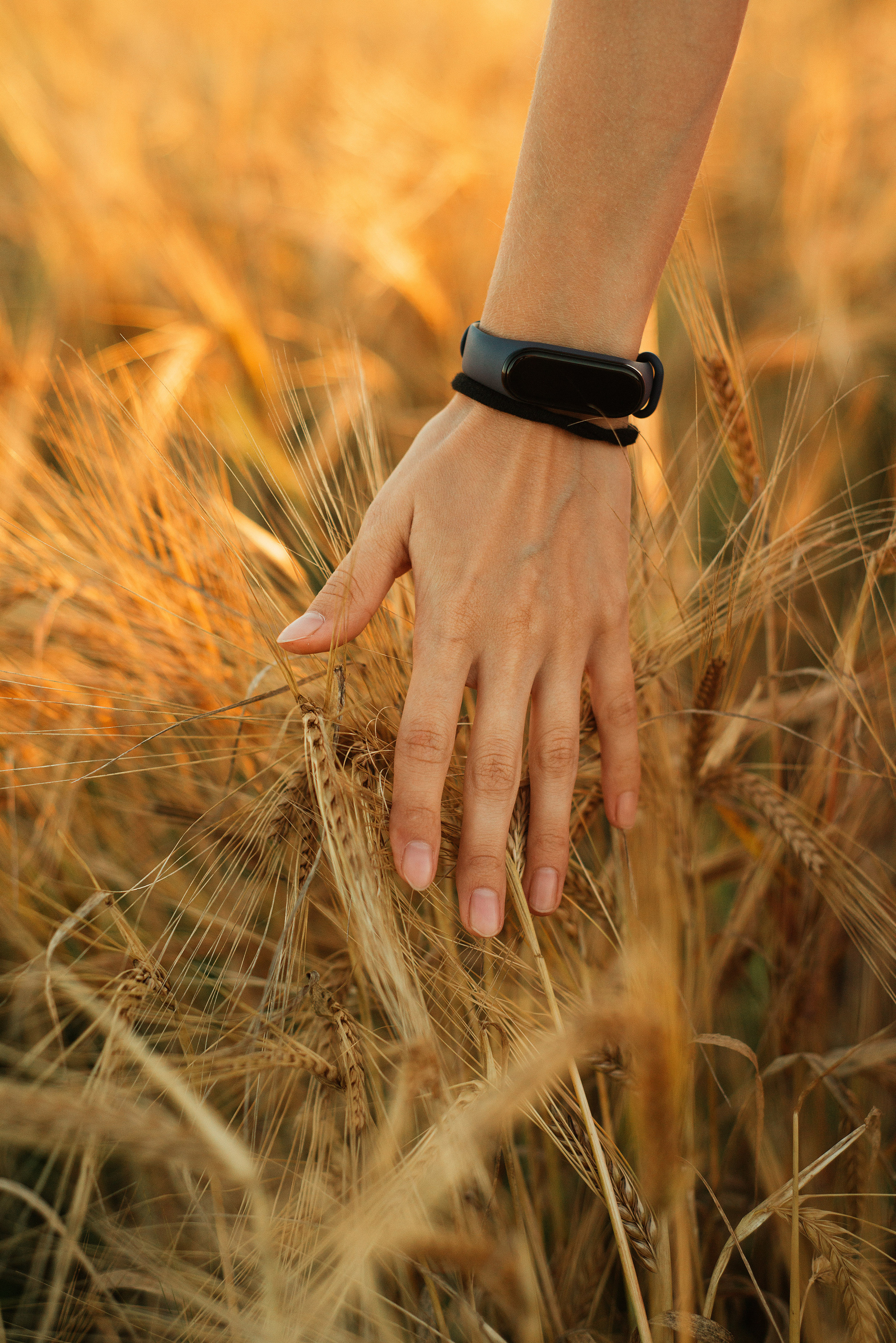 Алёна, Александр и Никита, часть 2. Семейный фотограф. Великанова Ирина. Санкт-Петербург. Пушкин
