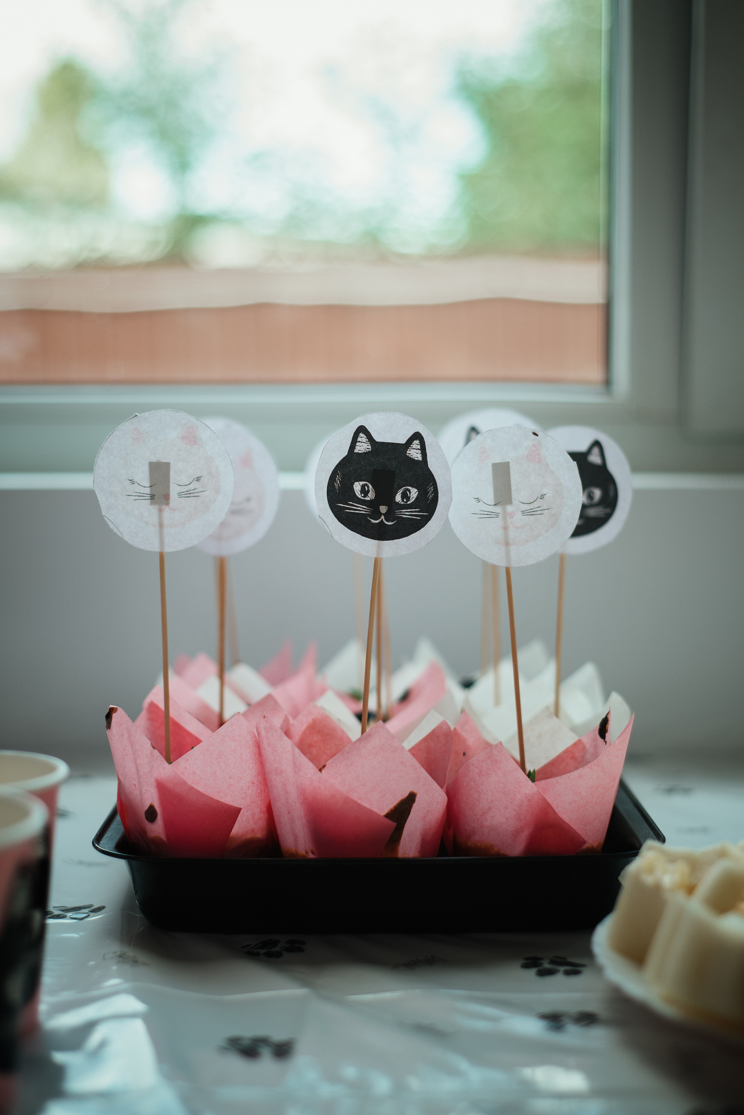 День Рождения Алисы. Семейный фотограф. Великанова Ирина. Санкт-Петербург. Пушкин