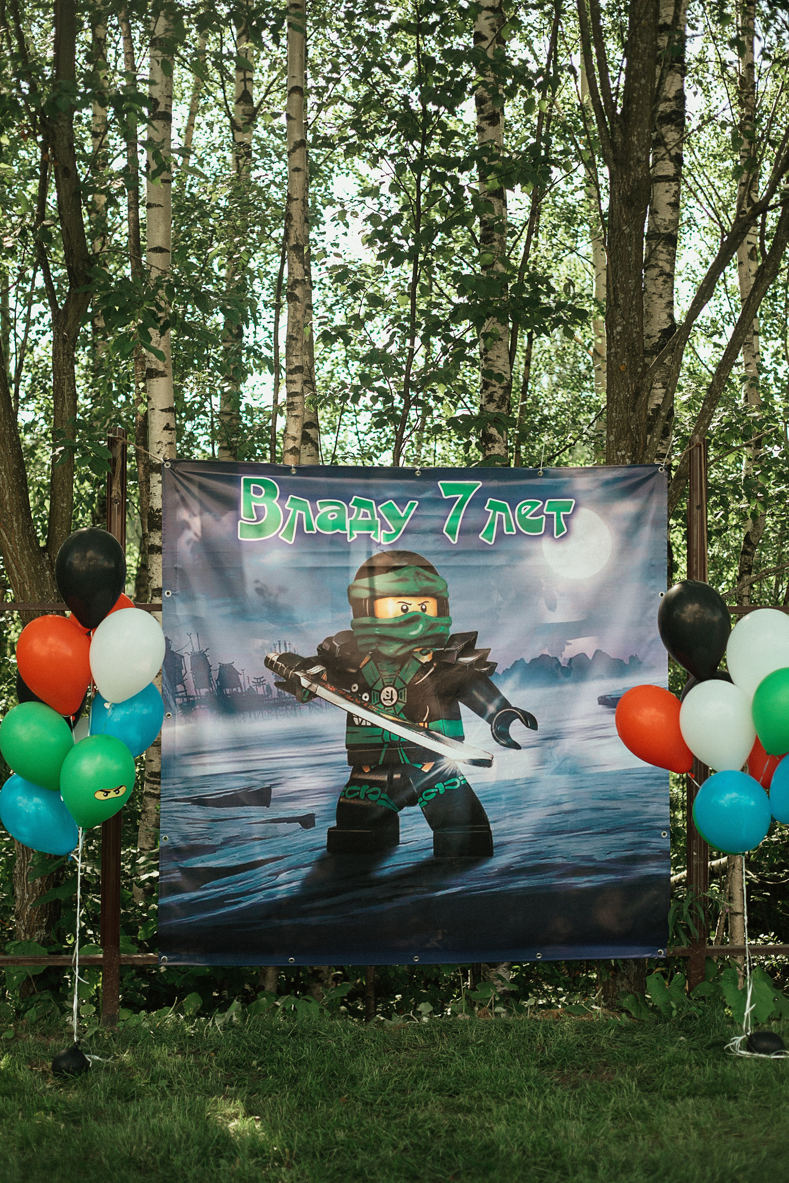 День Рождения Влада. Семейный фотограф. Великанова Ирина. Санкт-Петербург. Пушкин