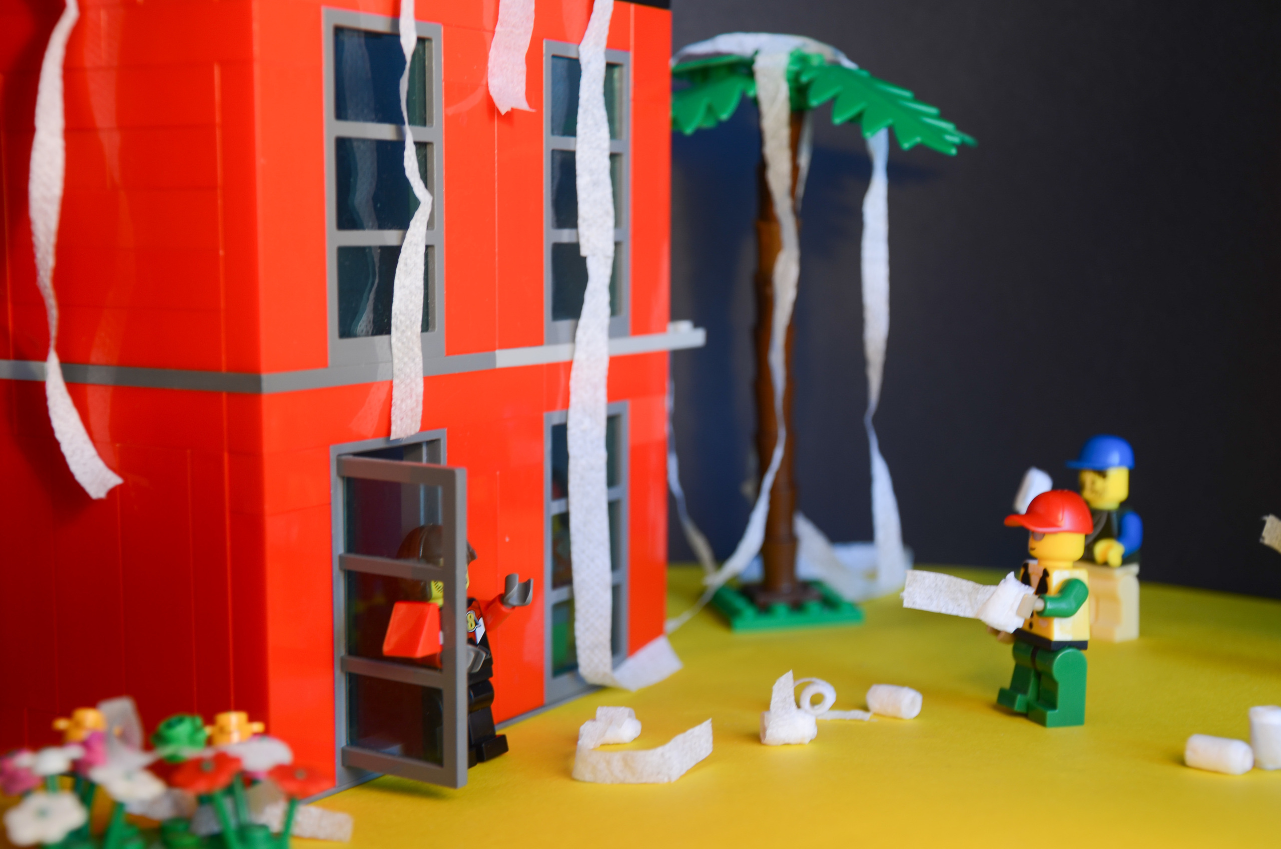 Лего-истории. Фотограф в Красноярске Наталья Скиданова